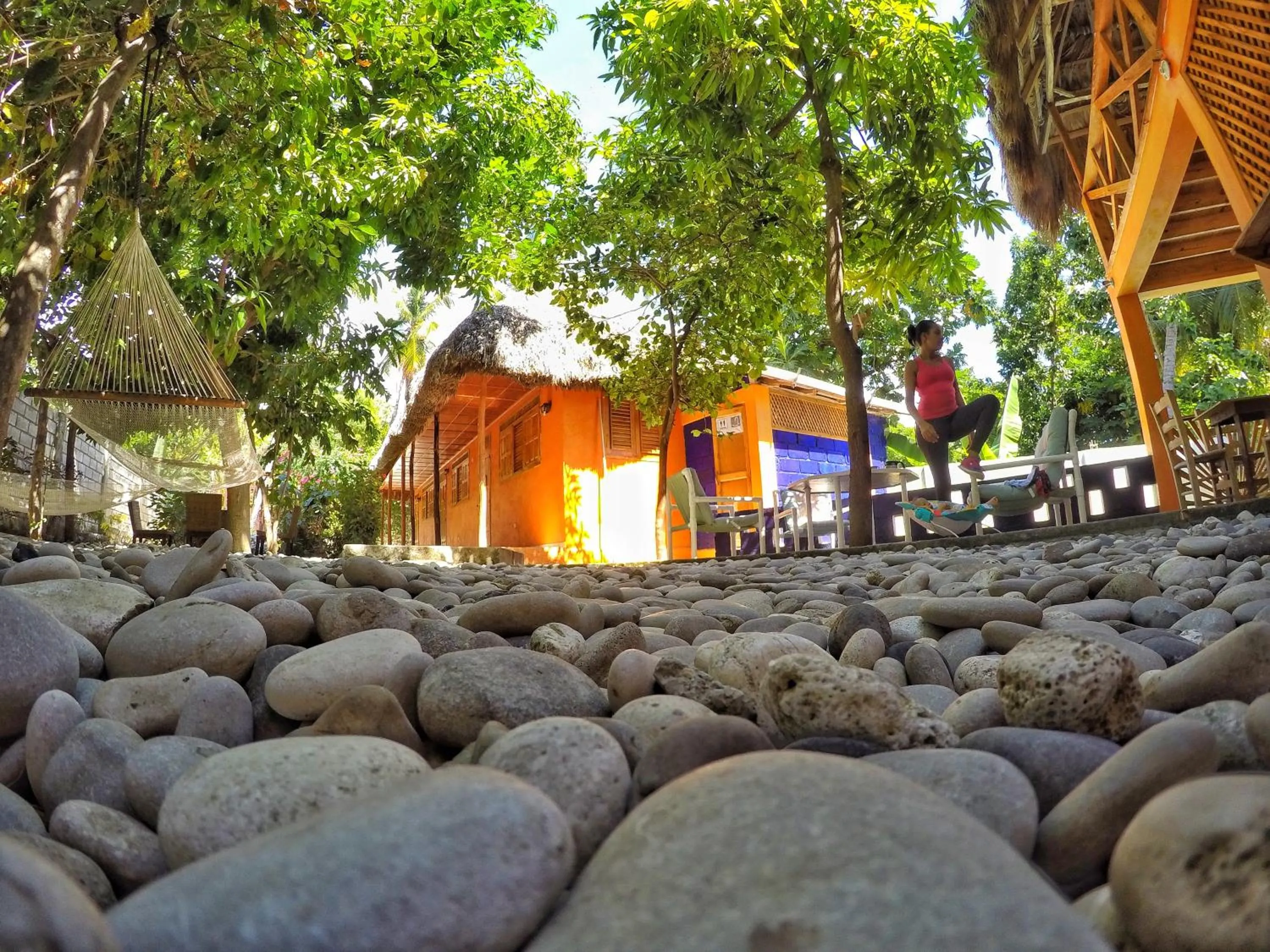 Property building in coin perdu guest house