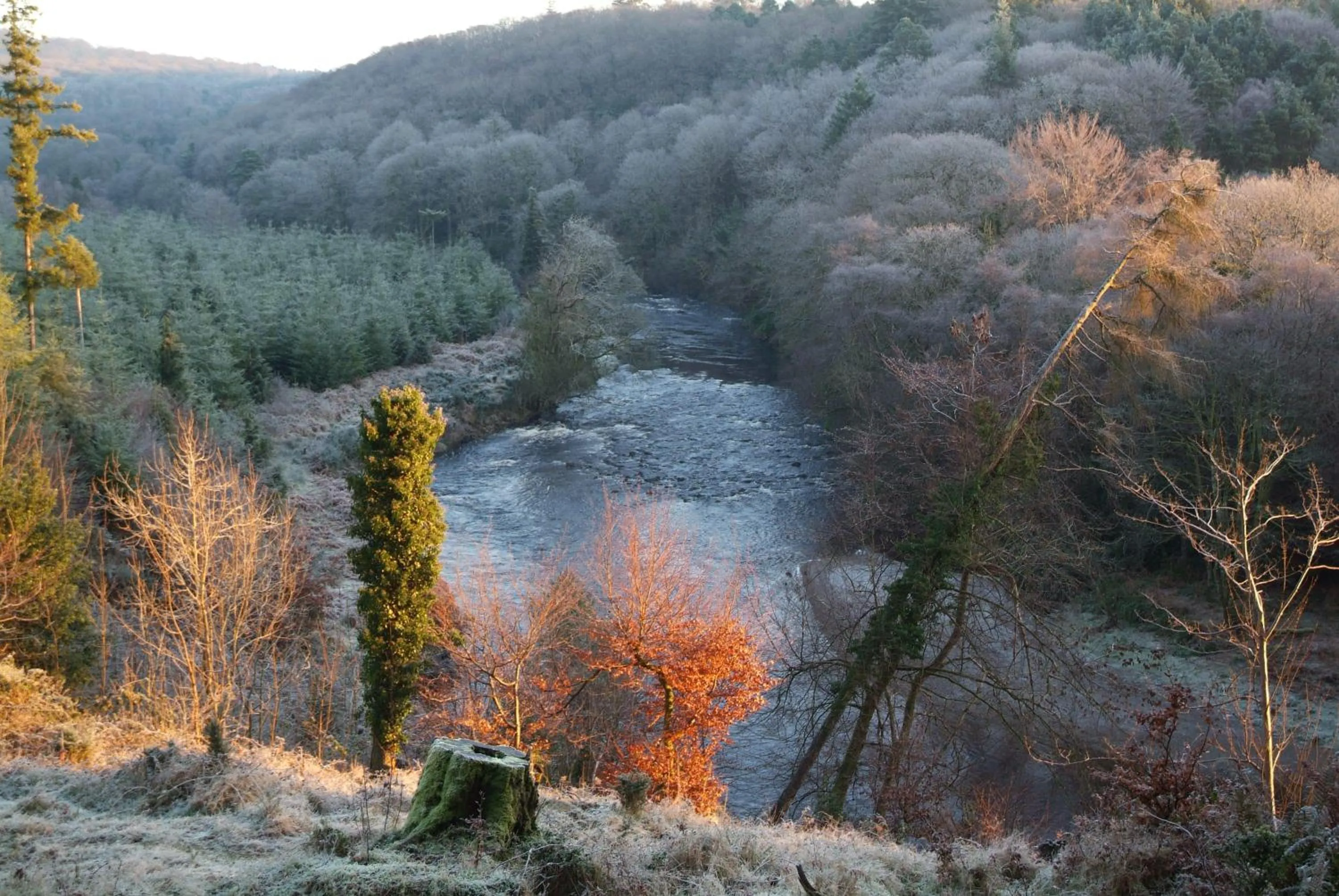 Lettermore Country Home