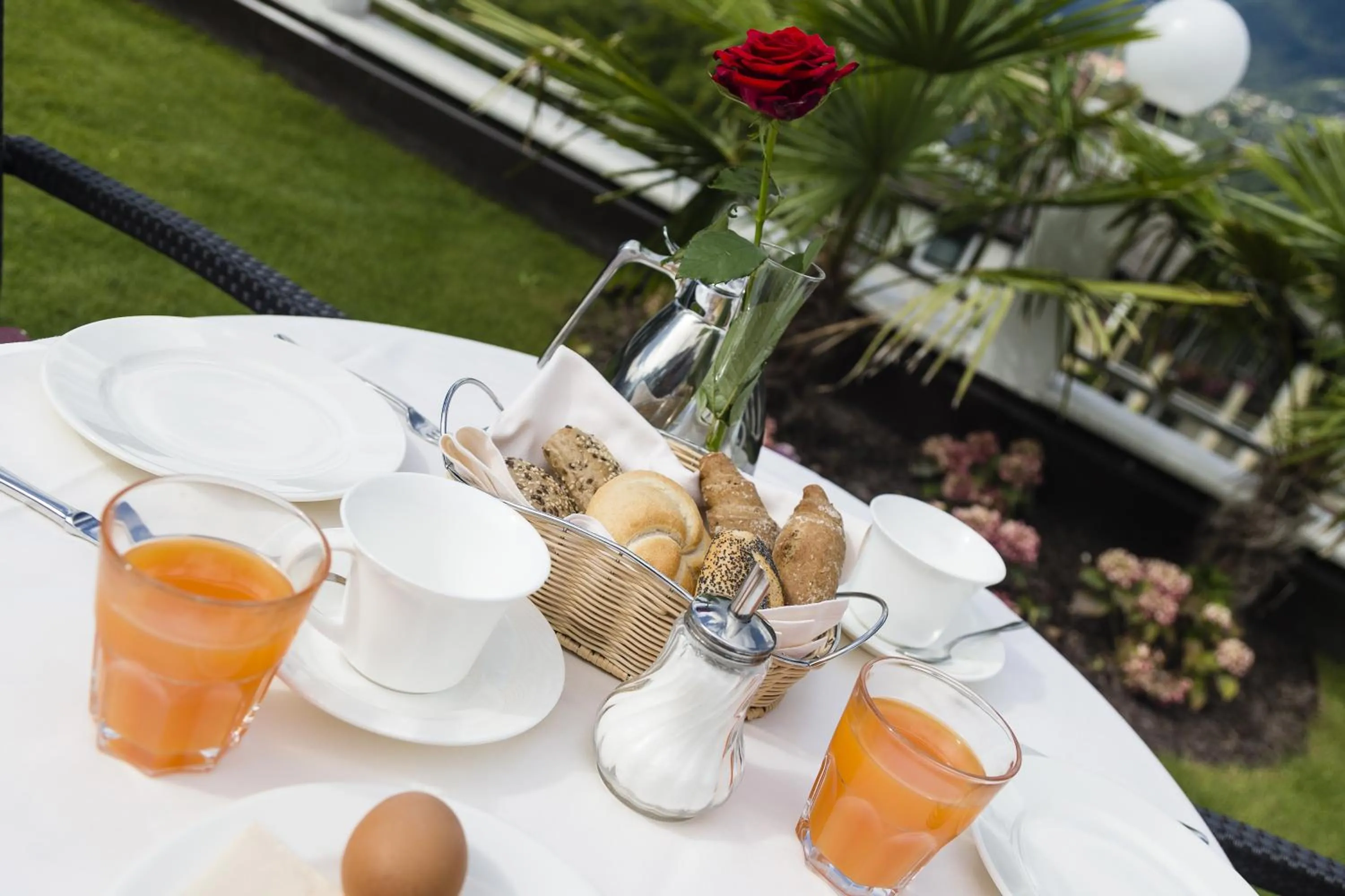 Garden in Hotel Finkenhof - Feel at home