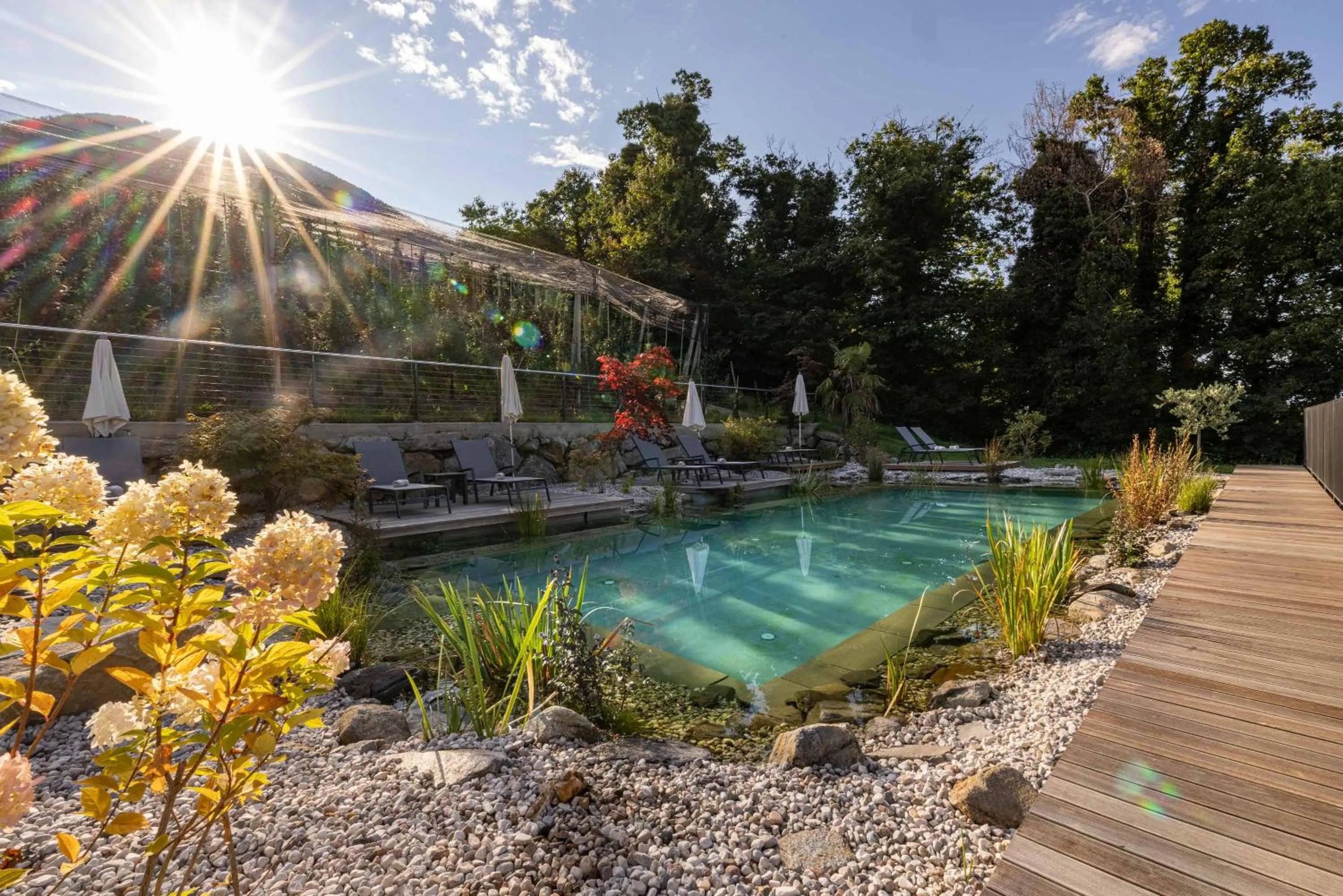 Swimming pool in Hotel Finkenhof - Feel at home