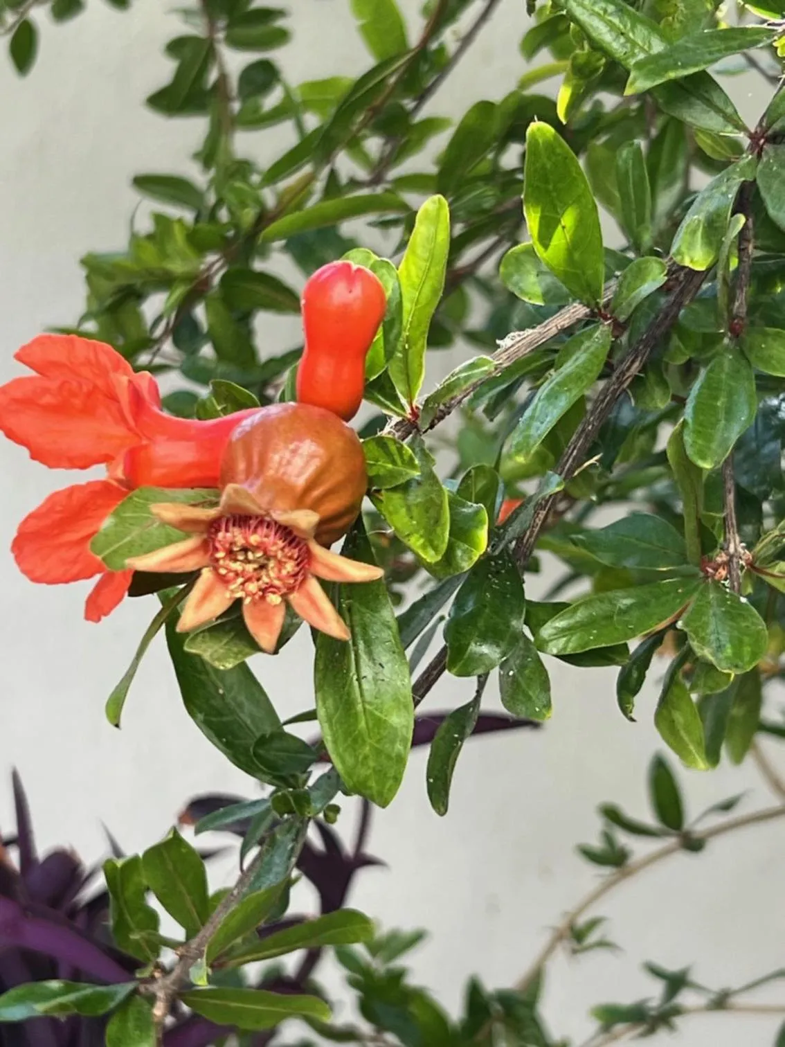 Property building in Matogianni Hotel