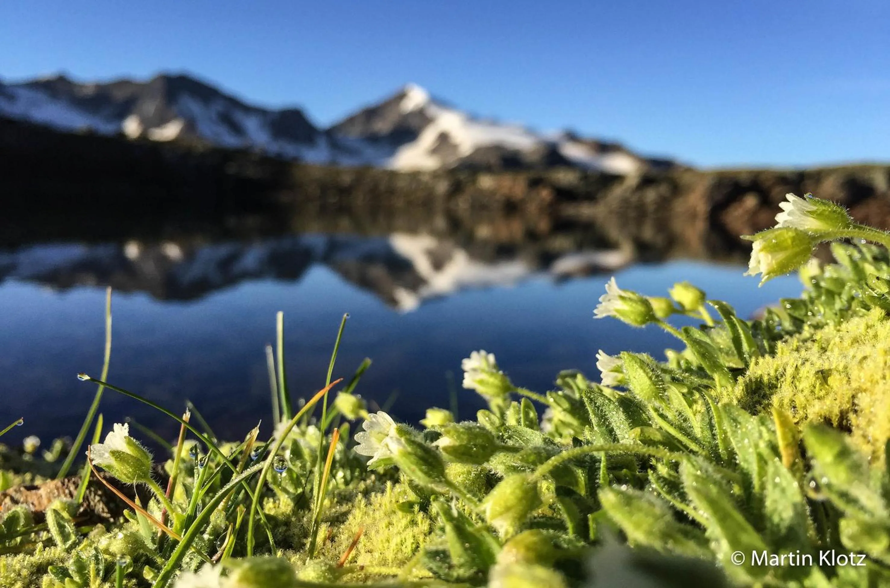 Summer in Apart Hotel Arno