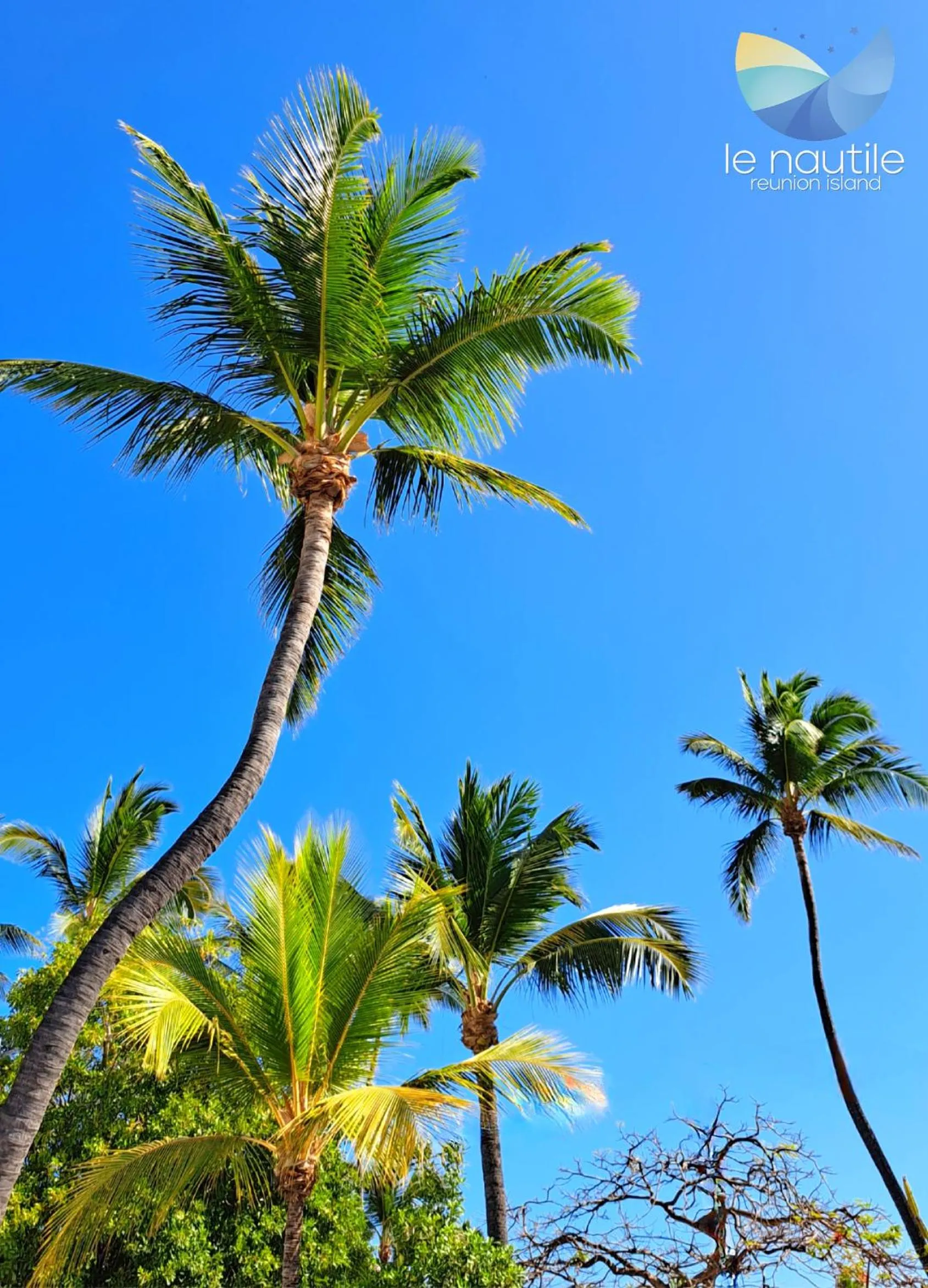 Natural landscape in Le Nautile Beachfront