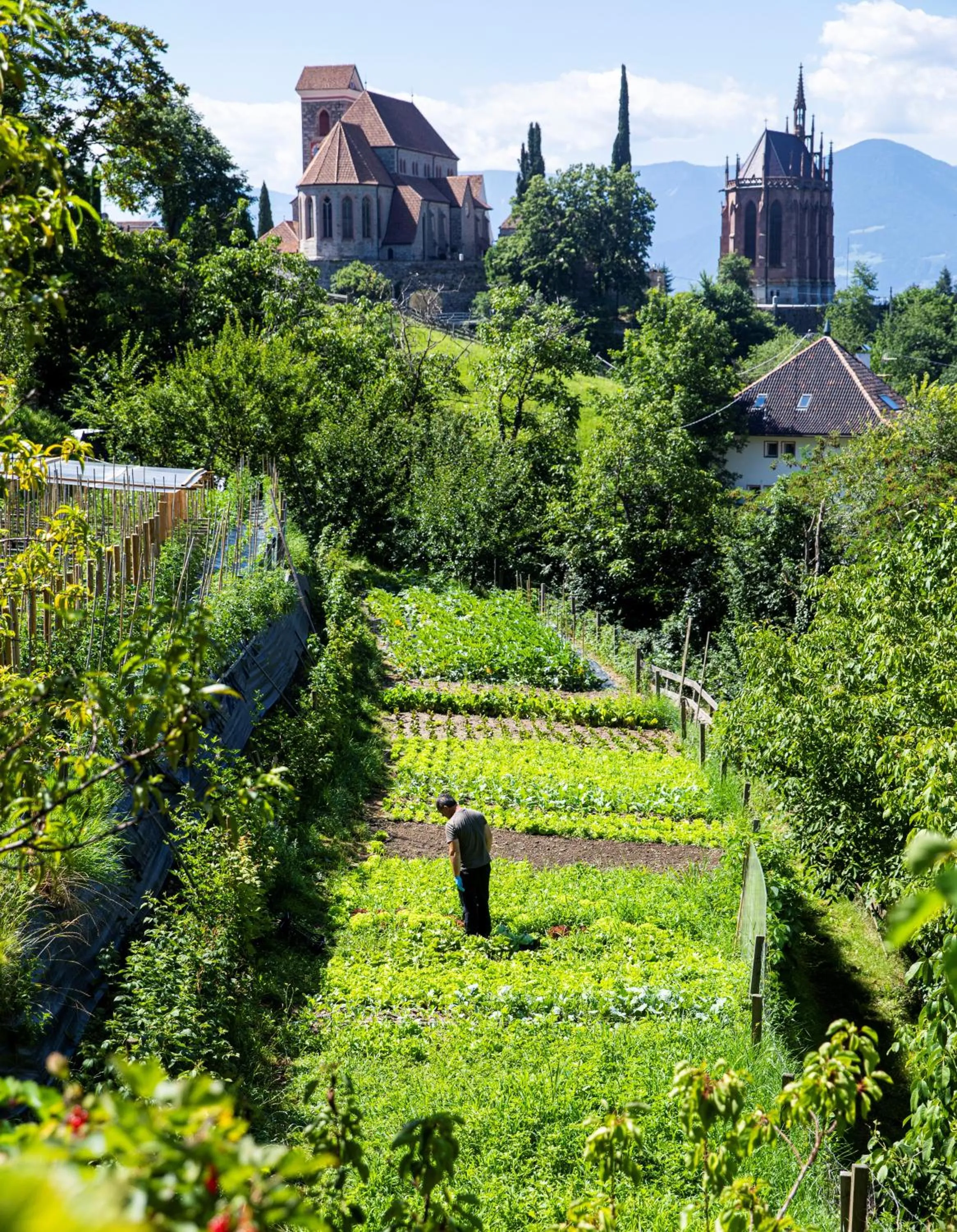 Garden in Hotel Finkennest - Panoramic Garden Resort
