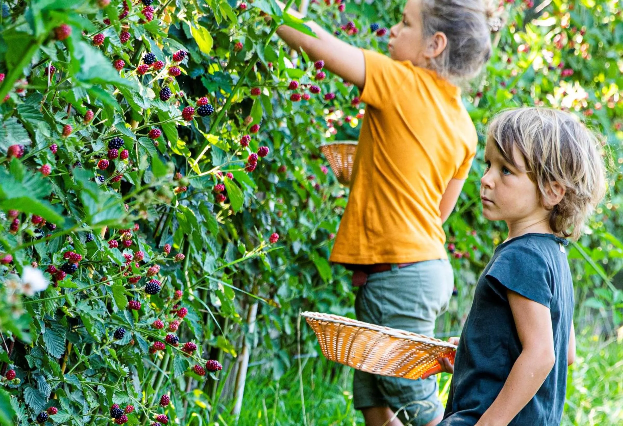 Garden in Hotel Finkennest - Panoramic Garden Resort