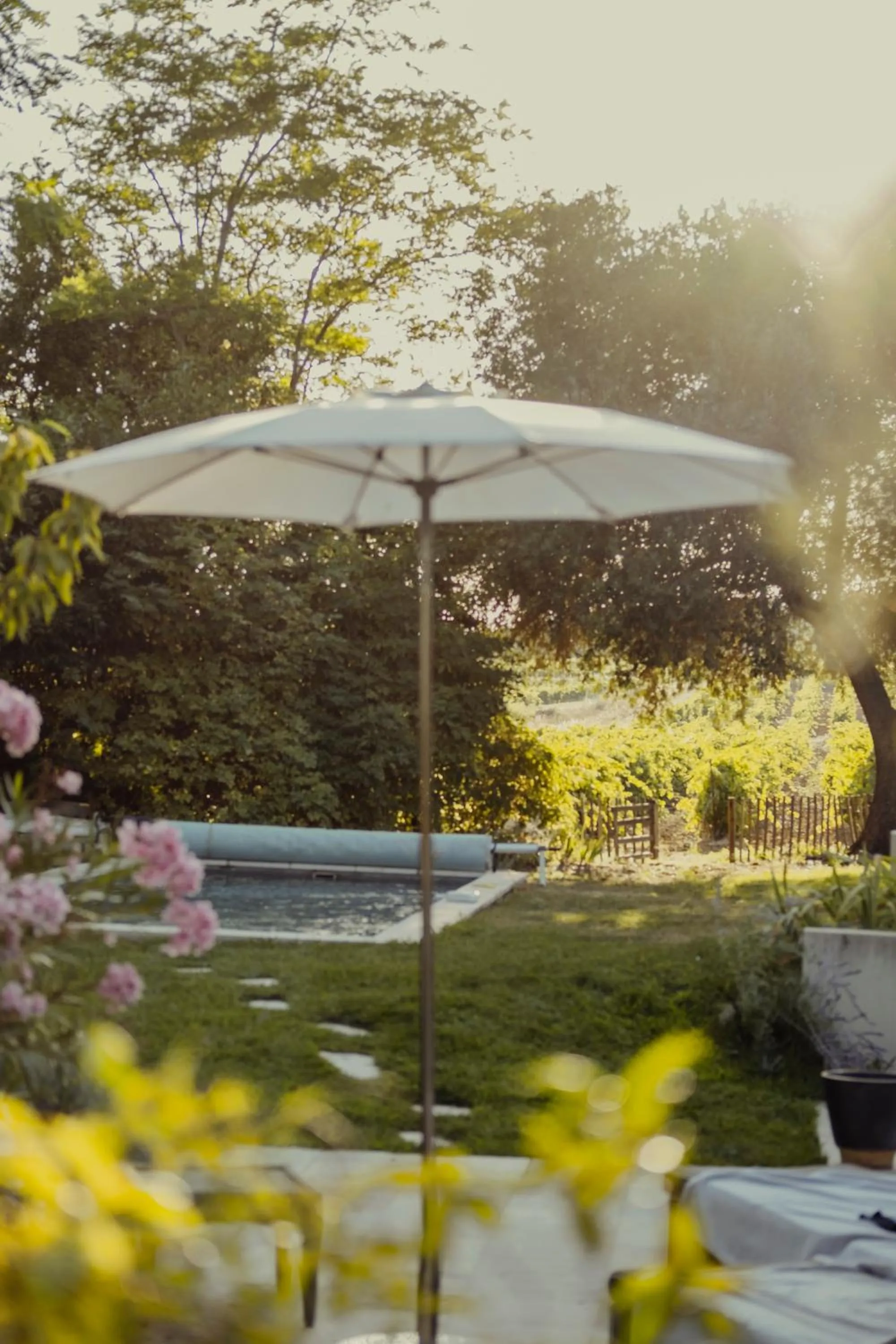 Garden in Château Les Carrasses