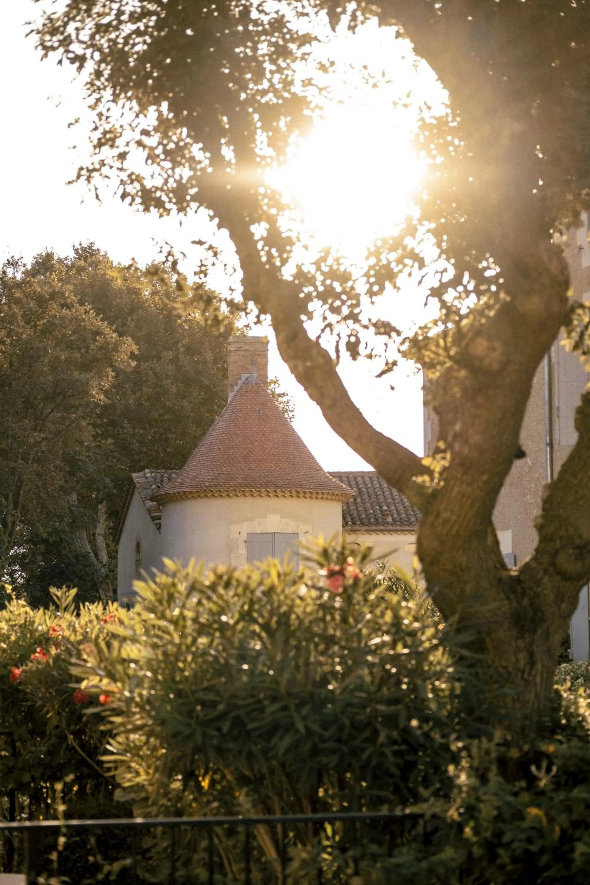 Garden in Château Les Carrasses