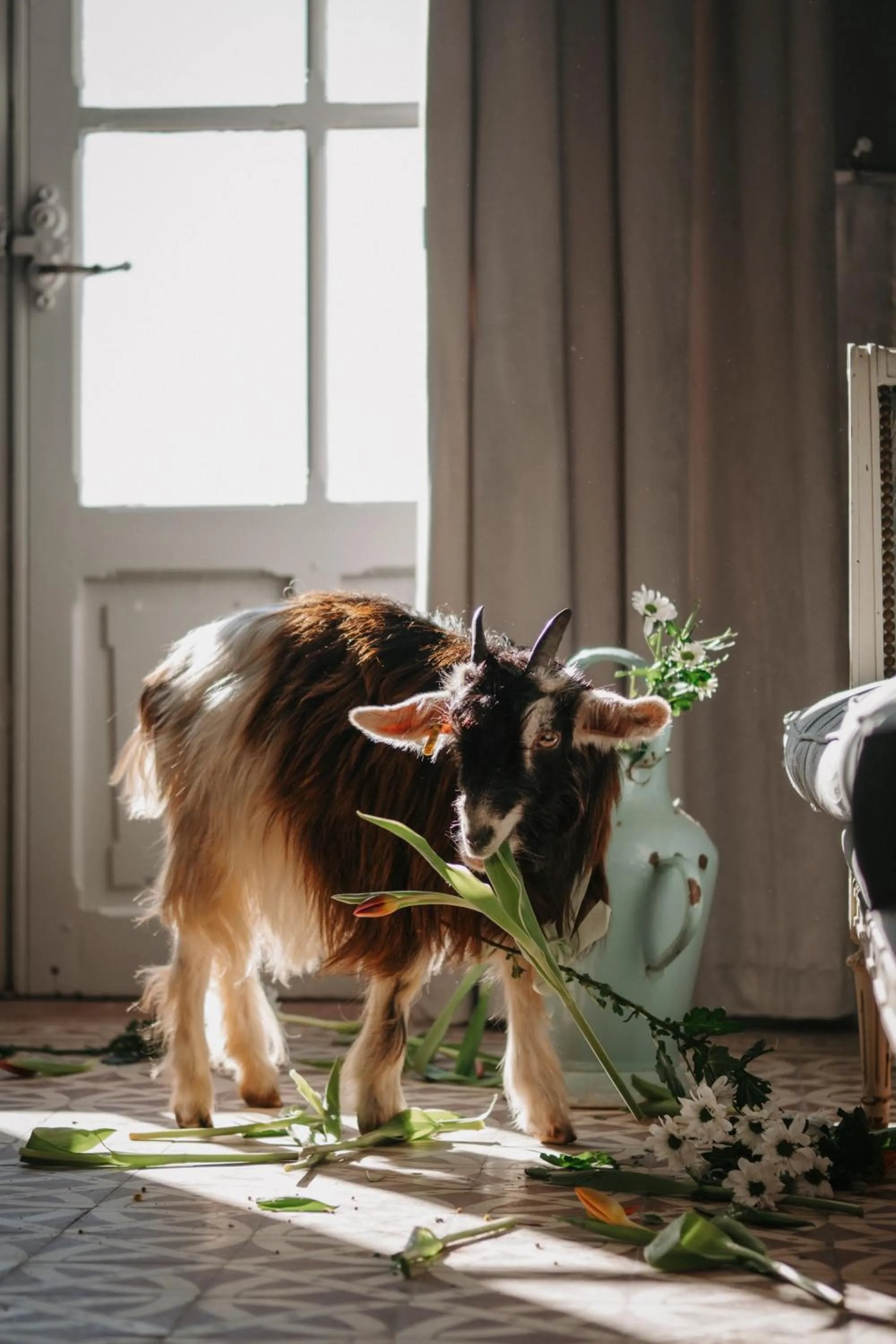 Garden in Château Les Carrasses