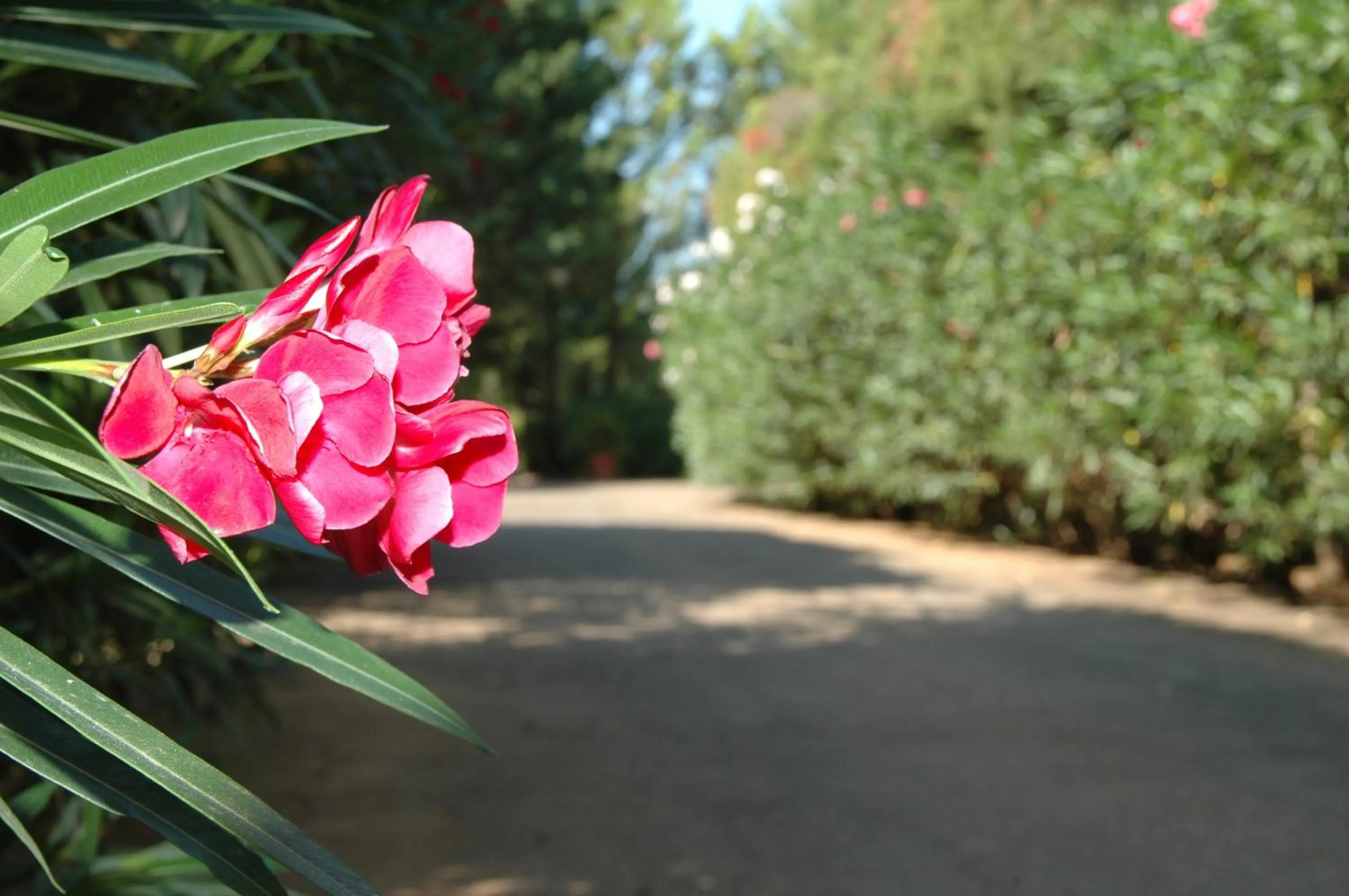 Facade/entrance in Residence Villa Agrimare