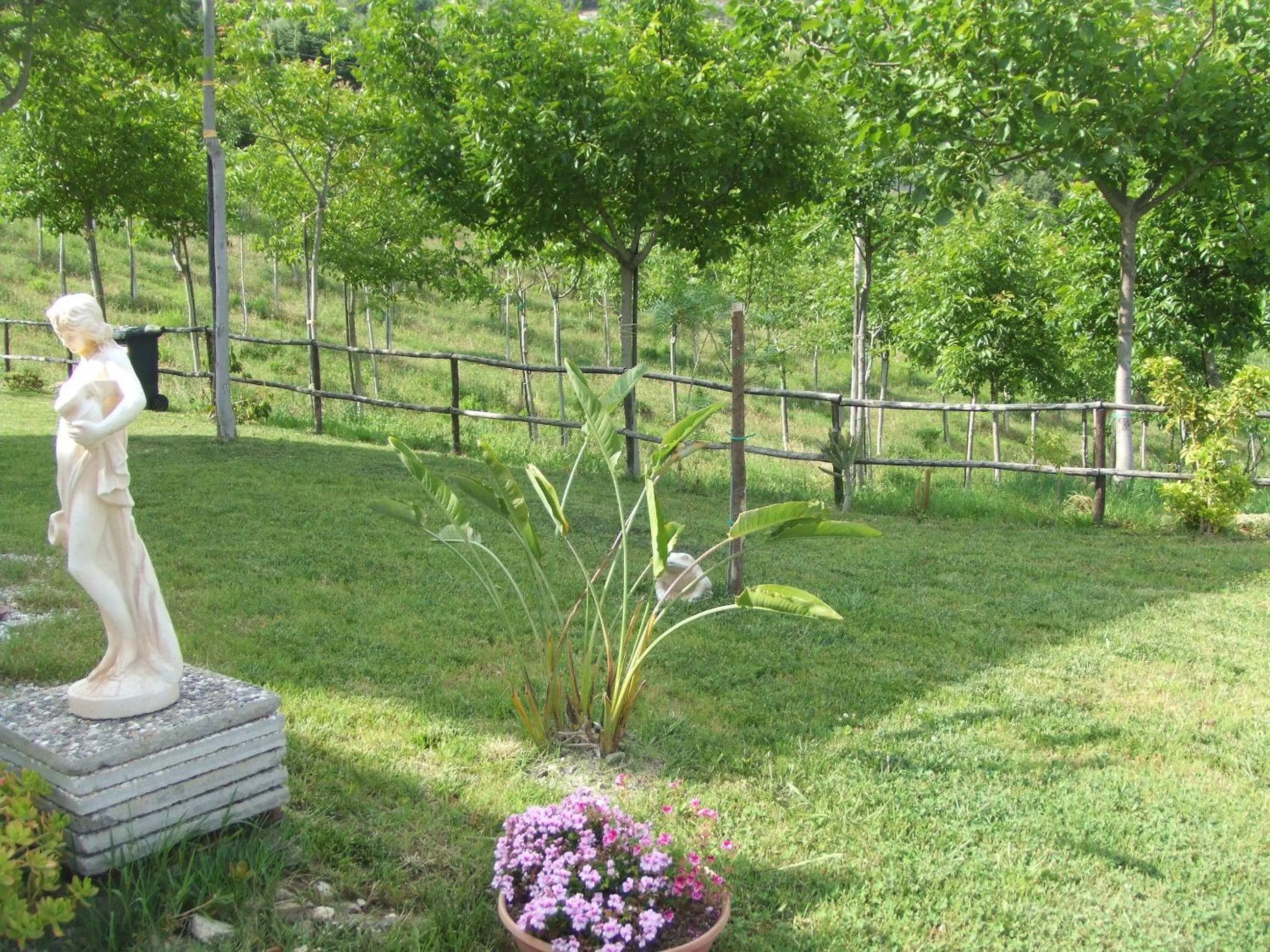 Garden view in Villa Le Torrette