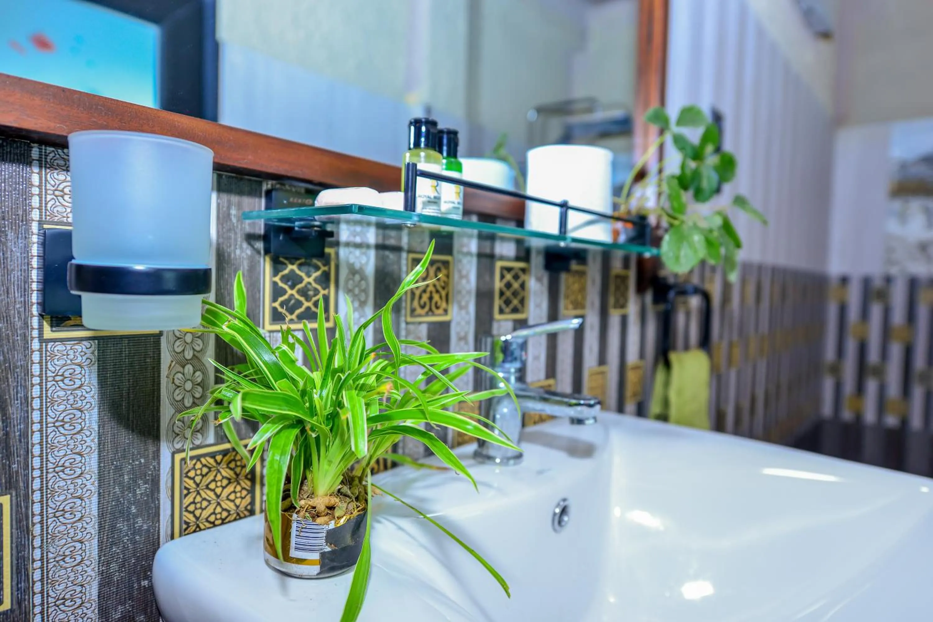 Bathroom in Royal Mount Ella