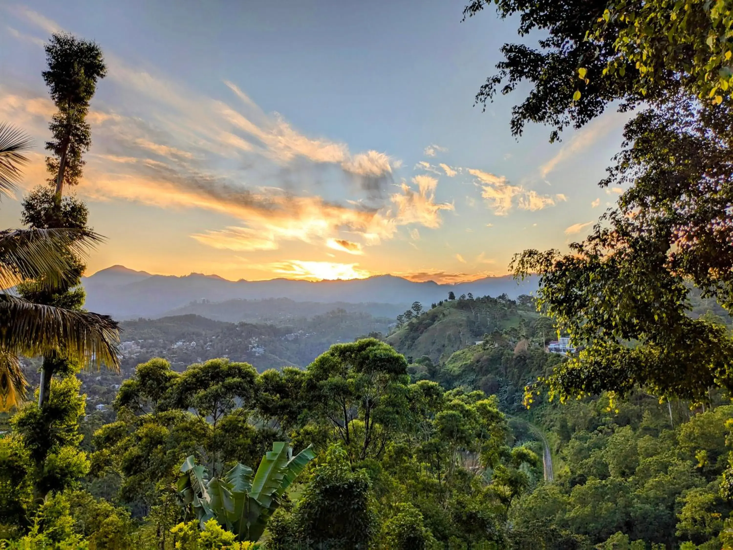 Royal Mount Ella Royal Mount Ella