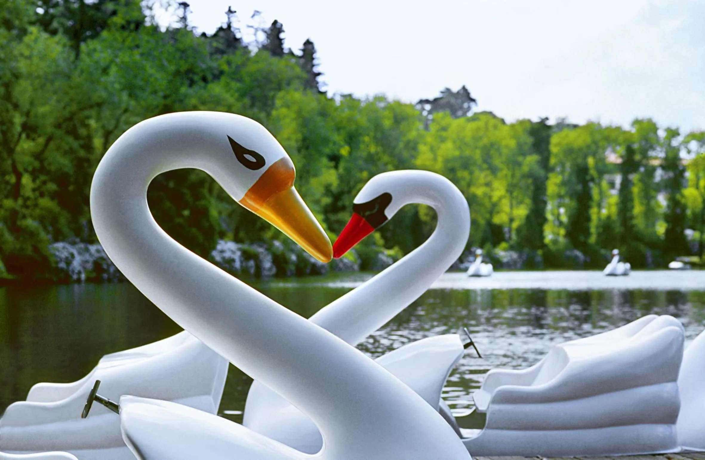 Activities in Hotel Estalagem St. Hubertus