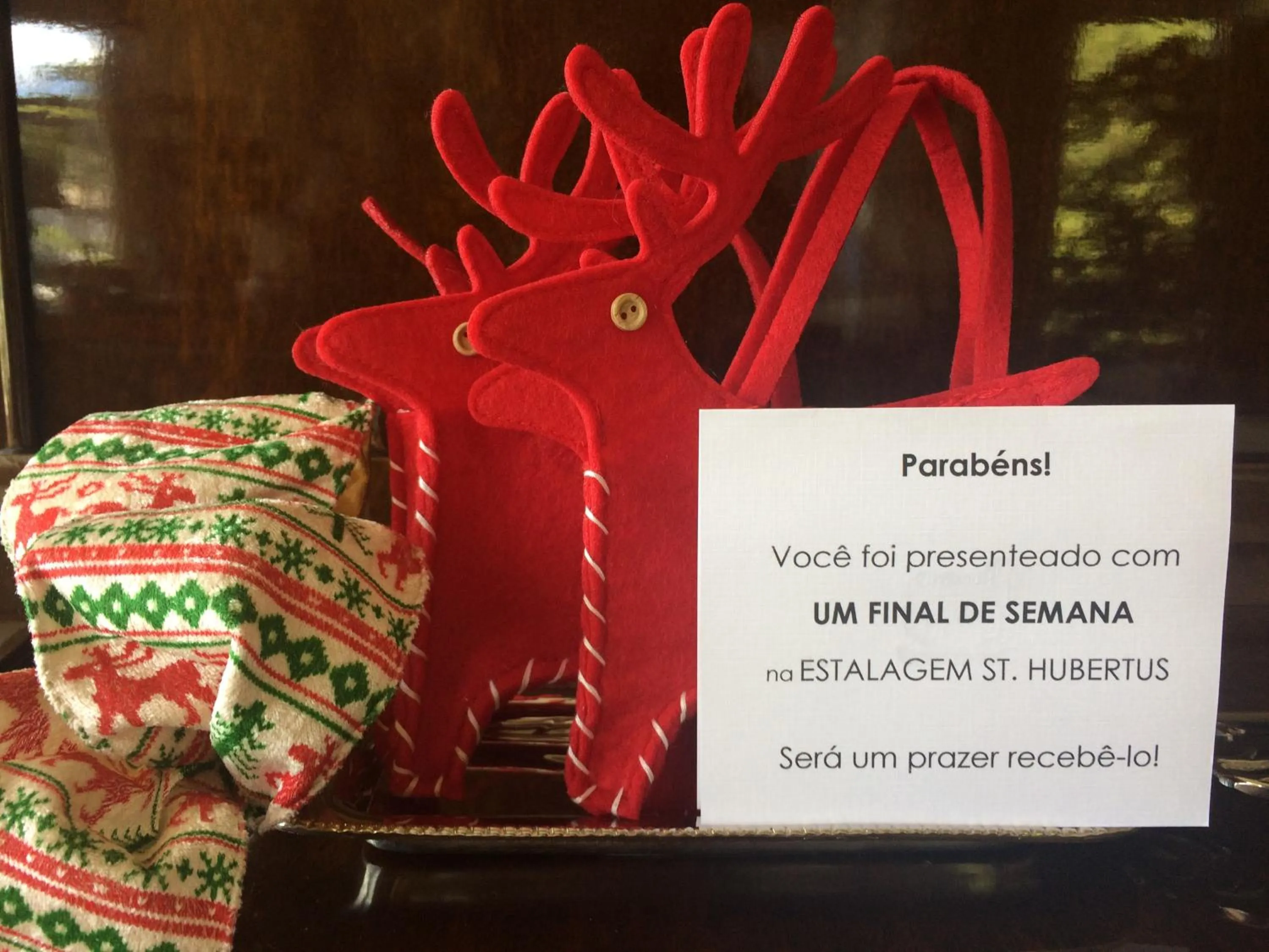 Decorative detail in Hotel Estalagem St. Hubertus