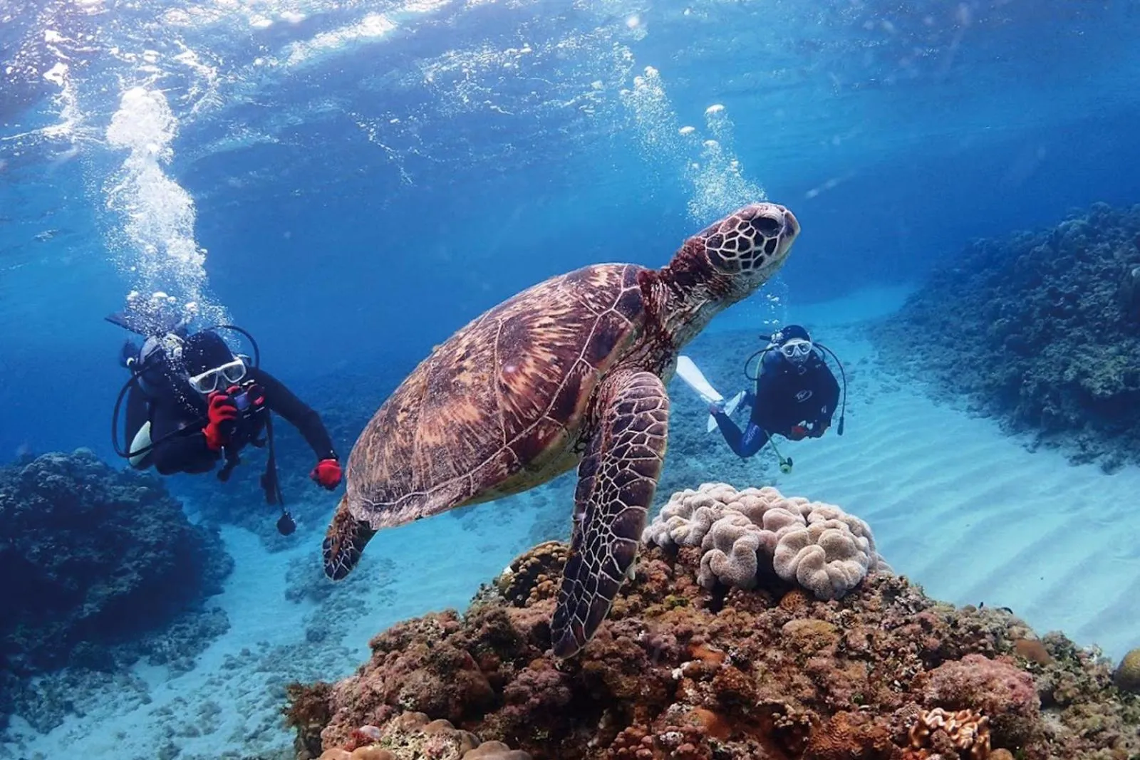 Diving in Miru Amami