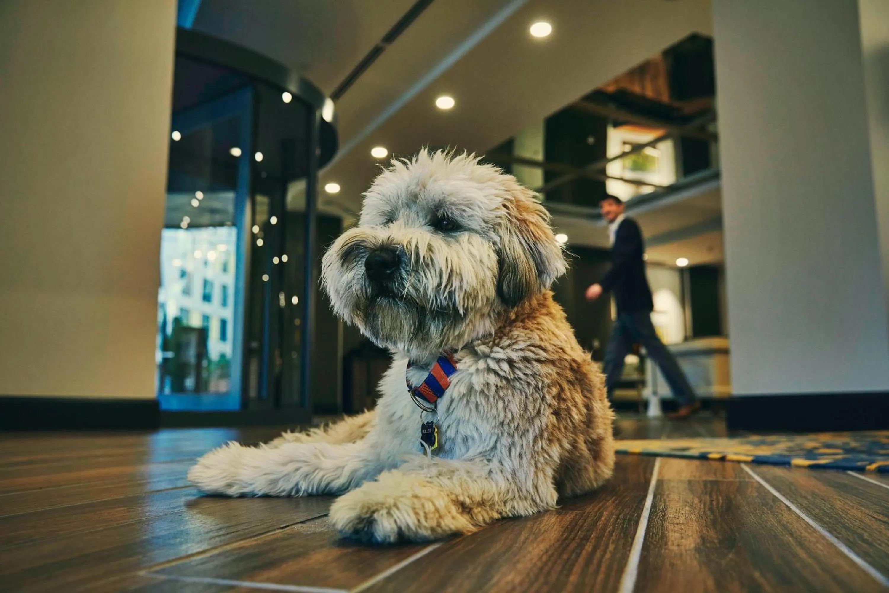 Other in The Draftsman, Autograph Collection