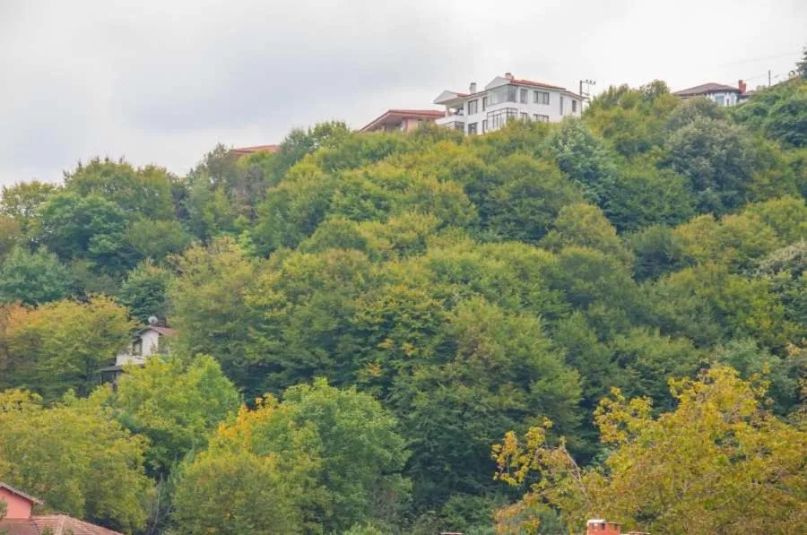 Natural landscape in Room Room Motel