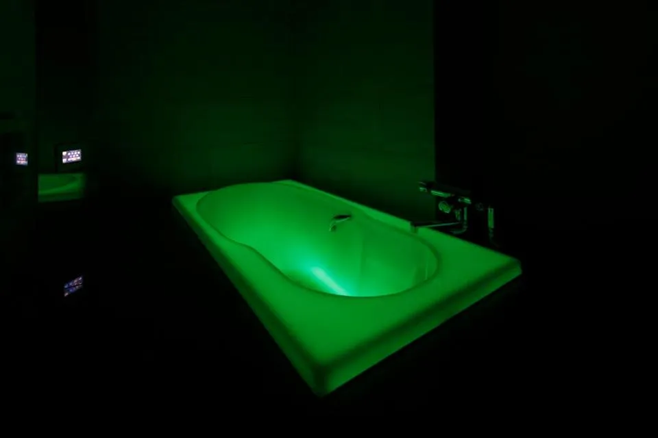 Hotel Waltz Okazaki (Adult Only)