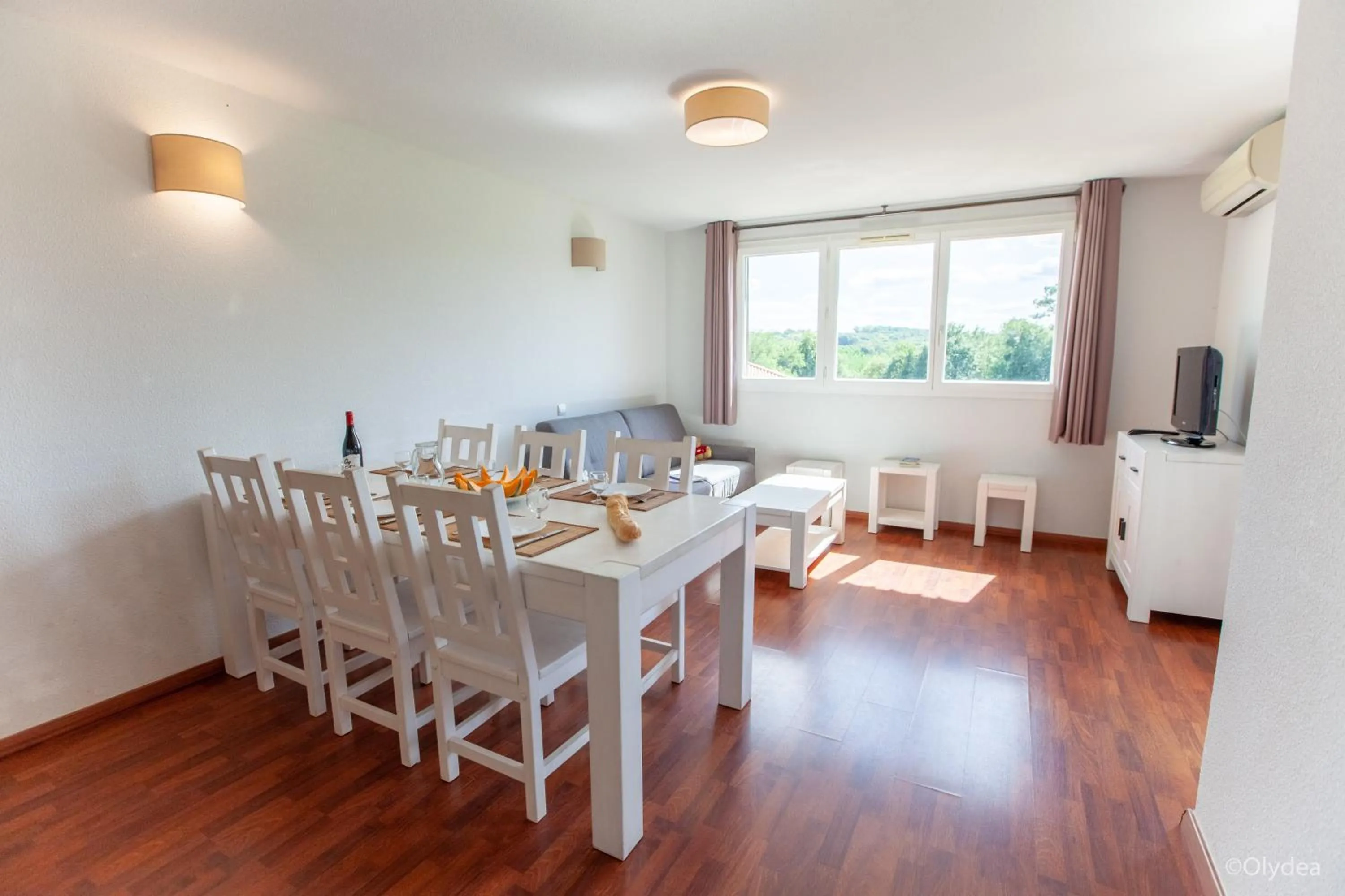 Living room in Olydea la Chalosse - Cassen