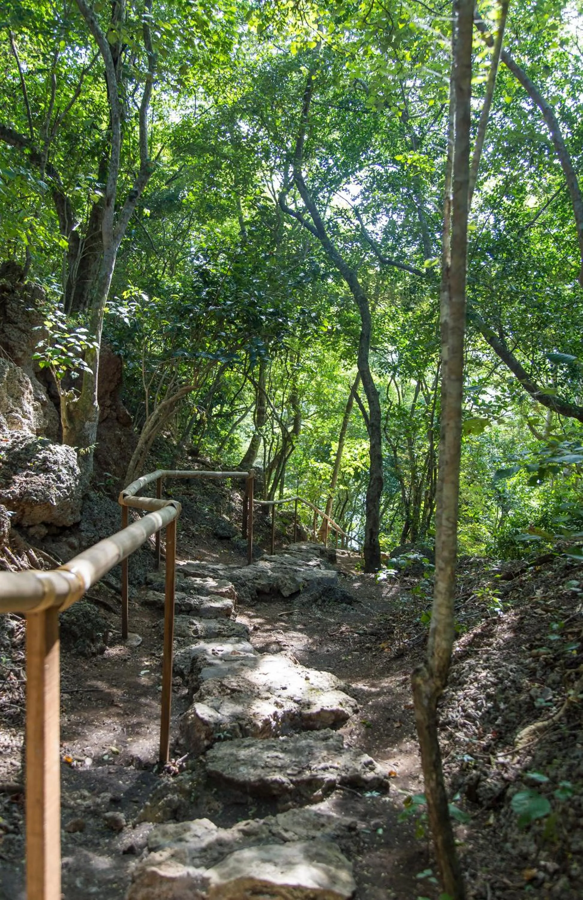 Neighbourhood in Menjangan Ecolodge - CHSE Certified