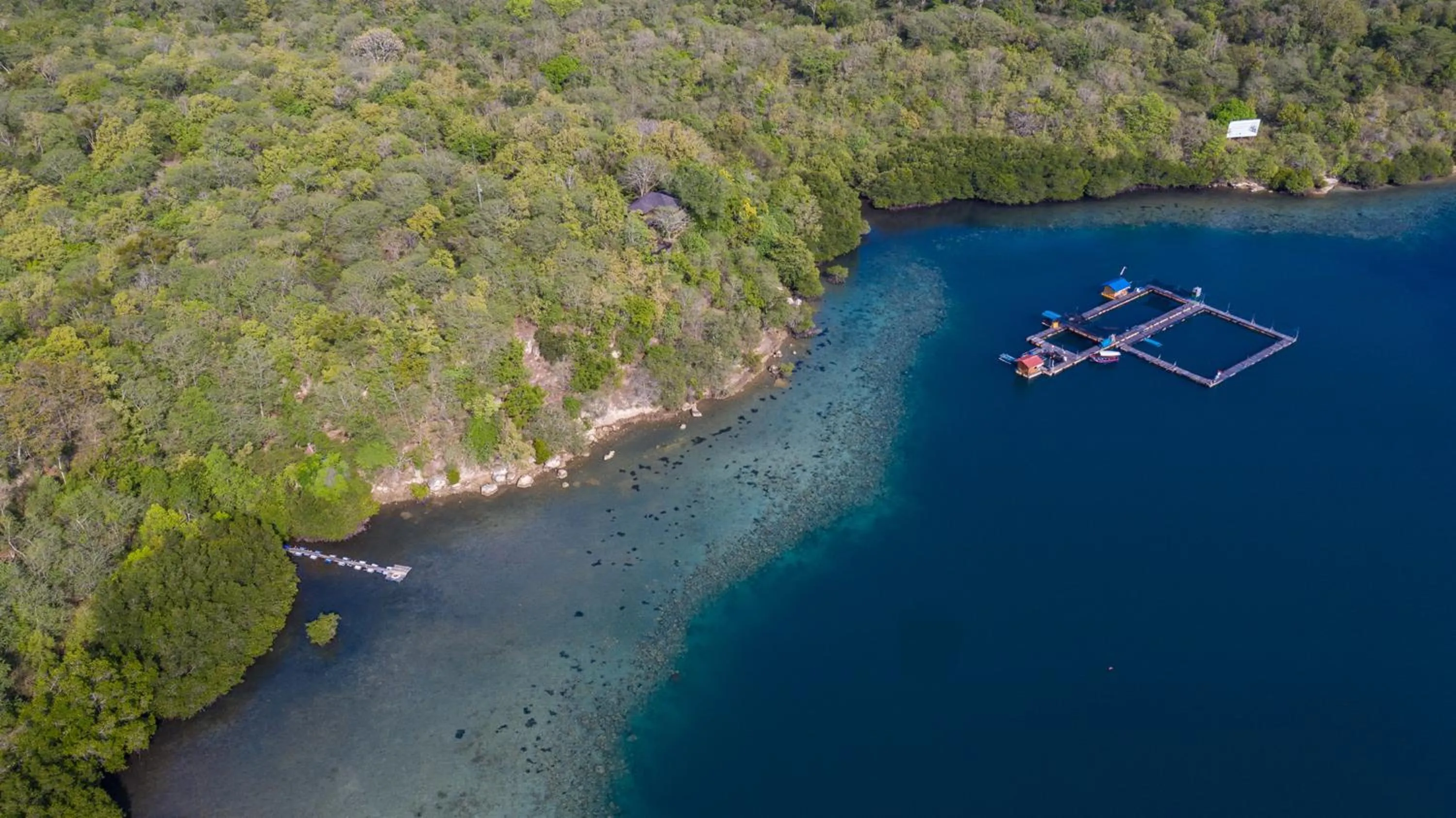 Menjangan Ecolodge - CHSE Certified