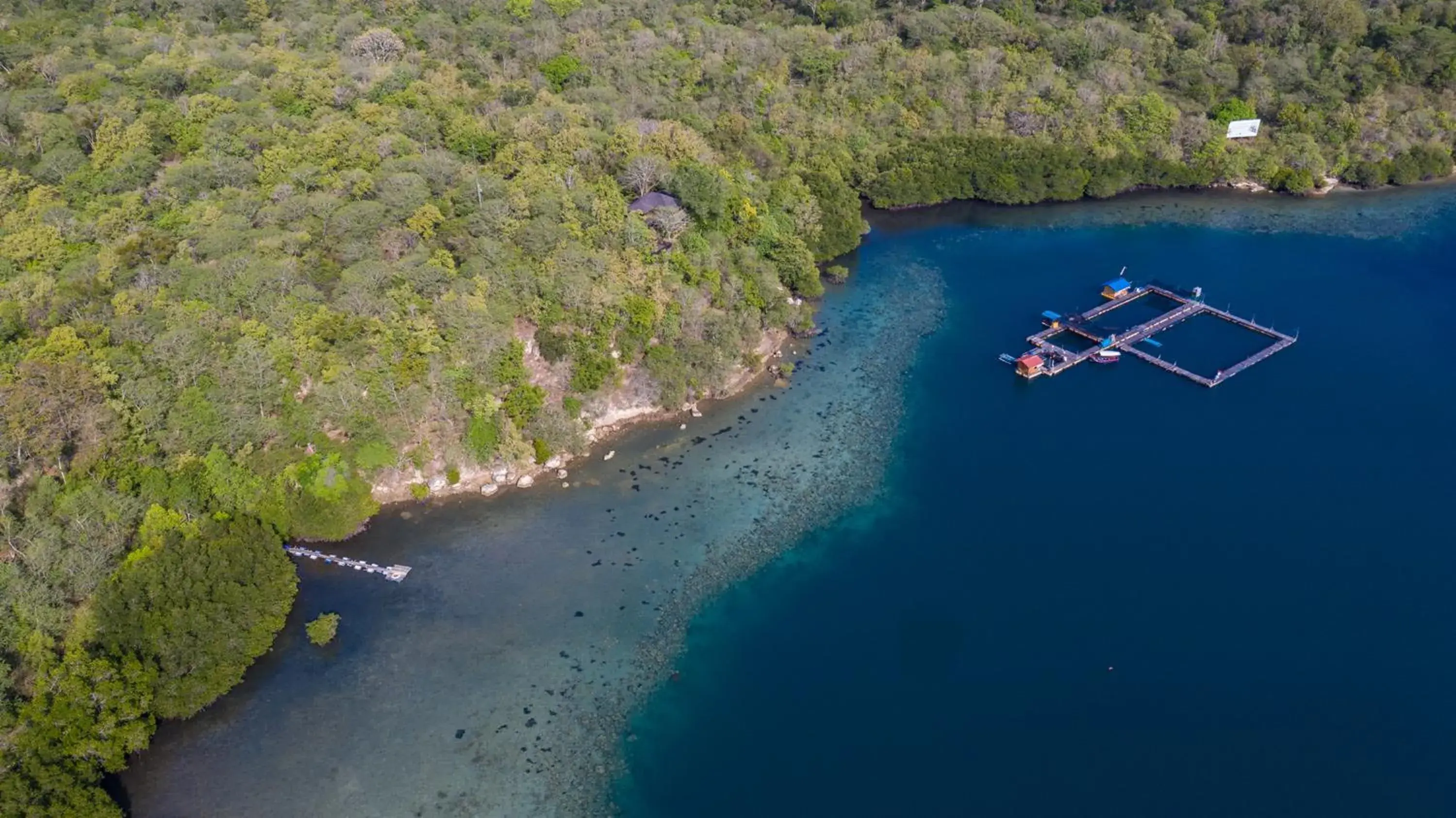 Menjangan Ecolodge - CHSE Certified Menjangan Ecolodge - CHSE Certified