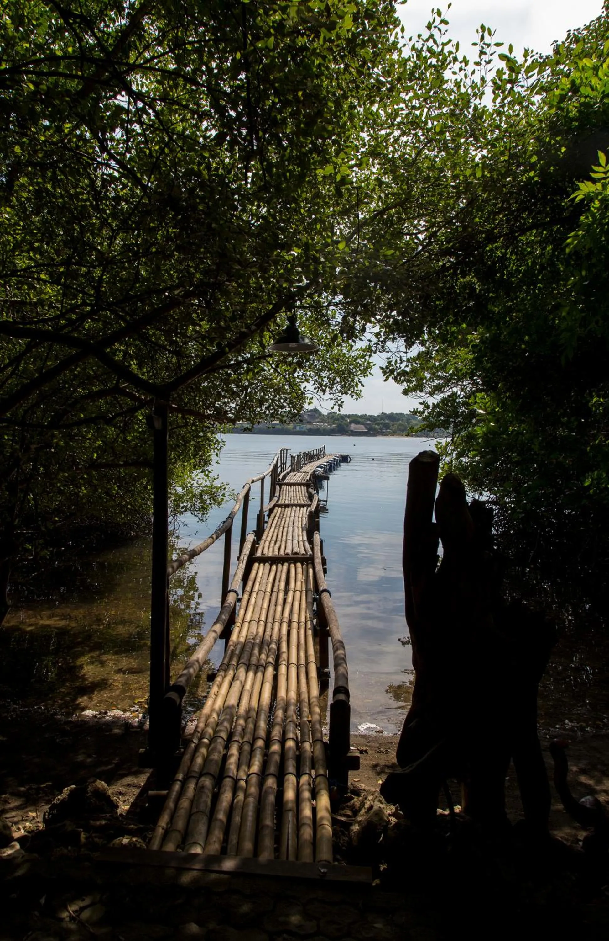 Neighbourhood in Menjangan Ecolodge - CHSE Certified