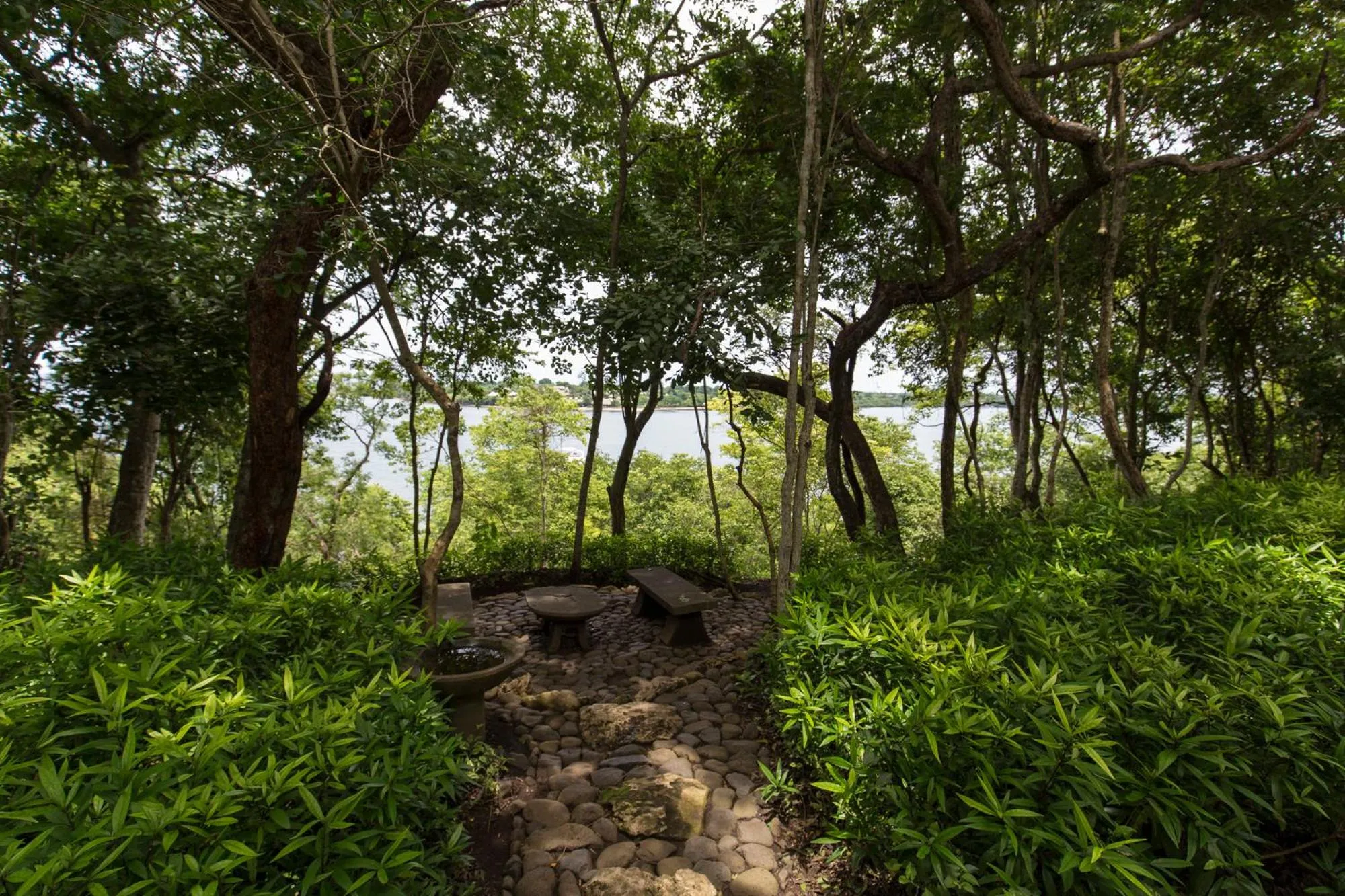 Natural landscape in Menjangan Ecolodge - CHSE Certified