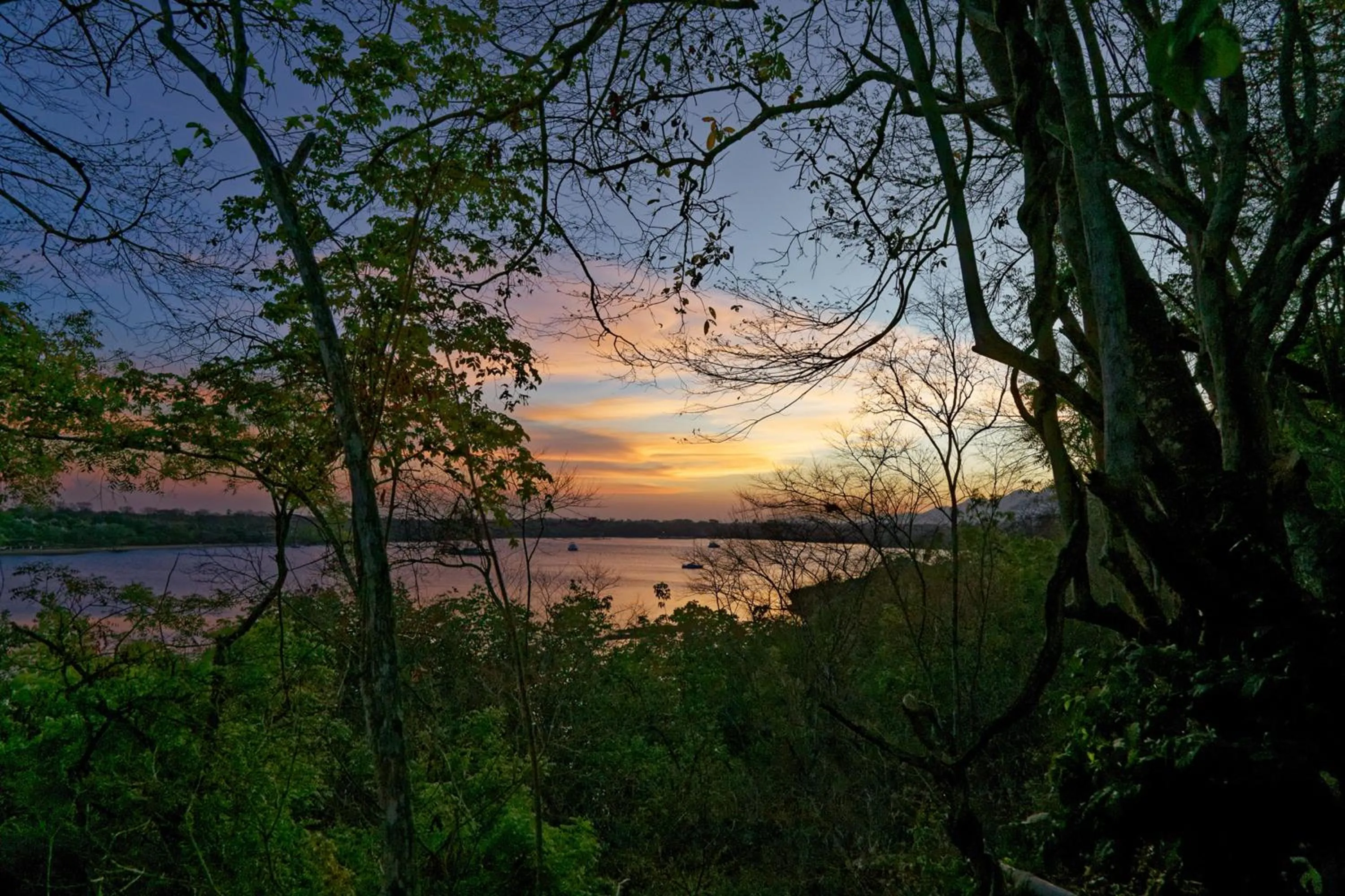 View (from property/room) in Menjangan Ecolodge - CHSE Certified