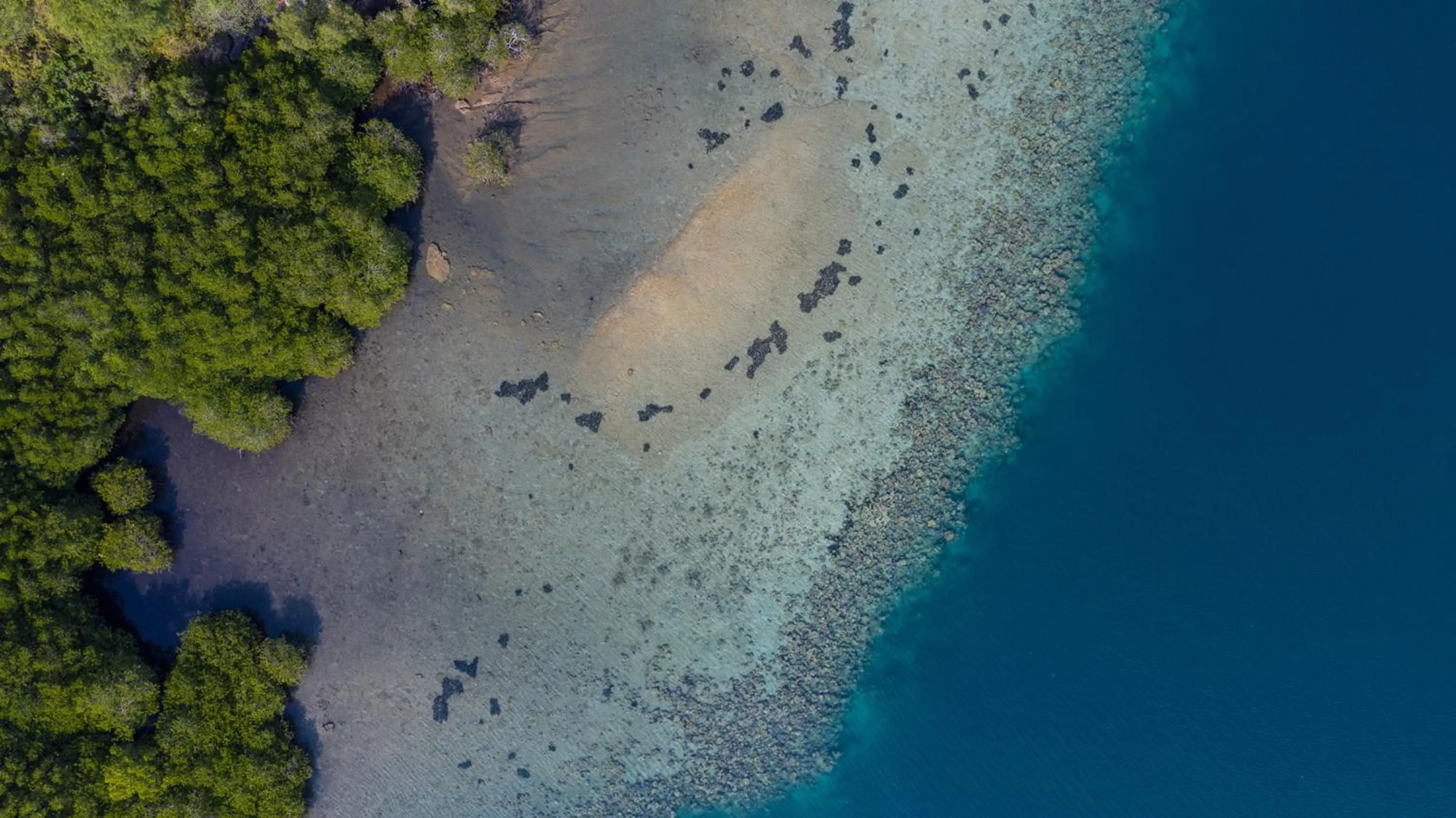 Beach in Menjangan Ecolodge - CHSE Certified