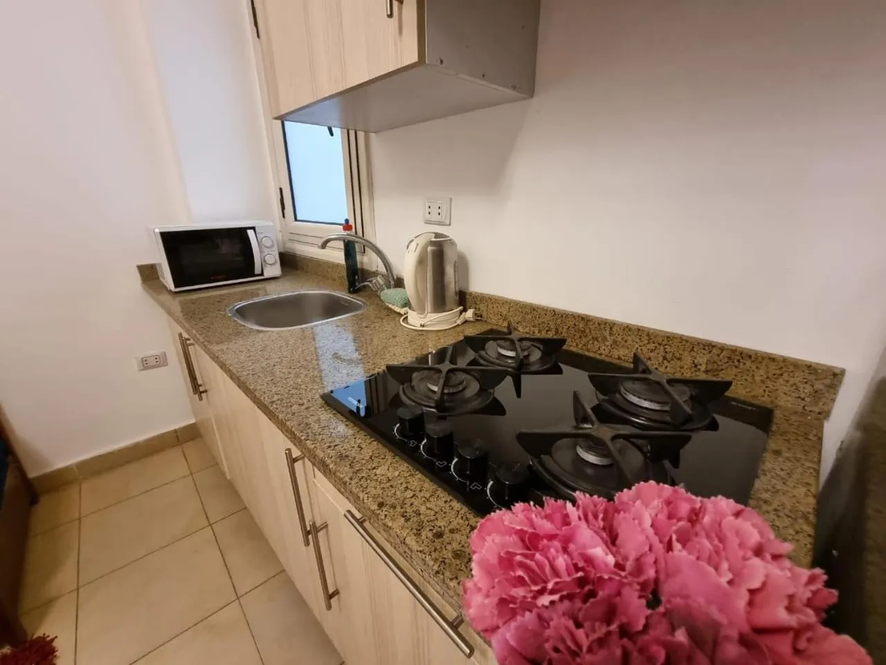 Kitchen or kitchenette in Lilly Apartments