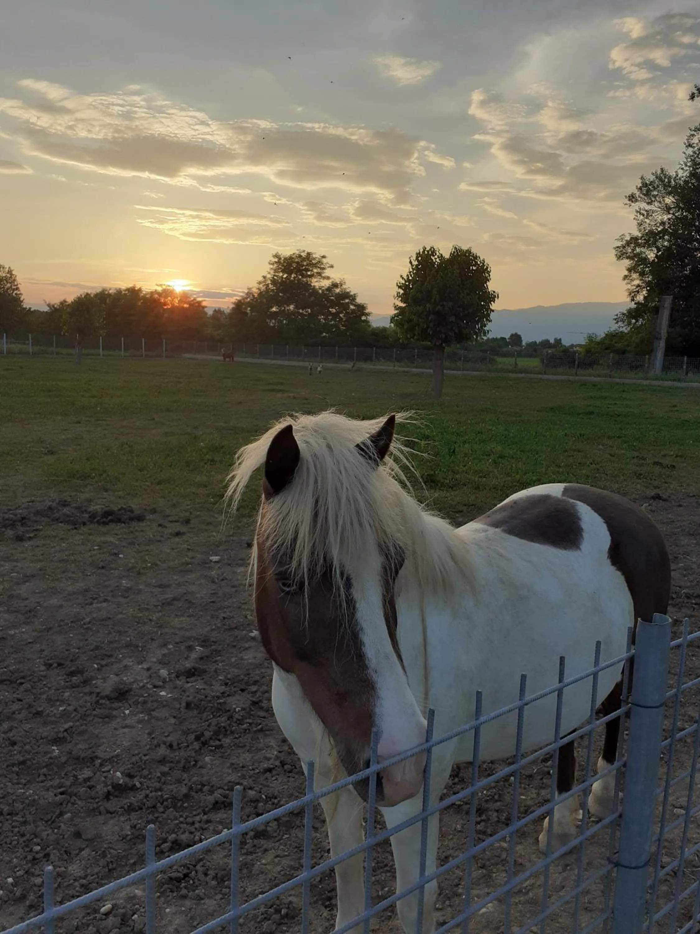 Azienda Agrituristica Ai Prai