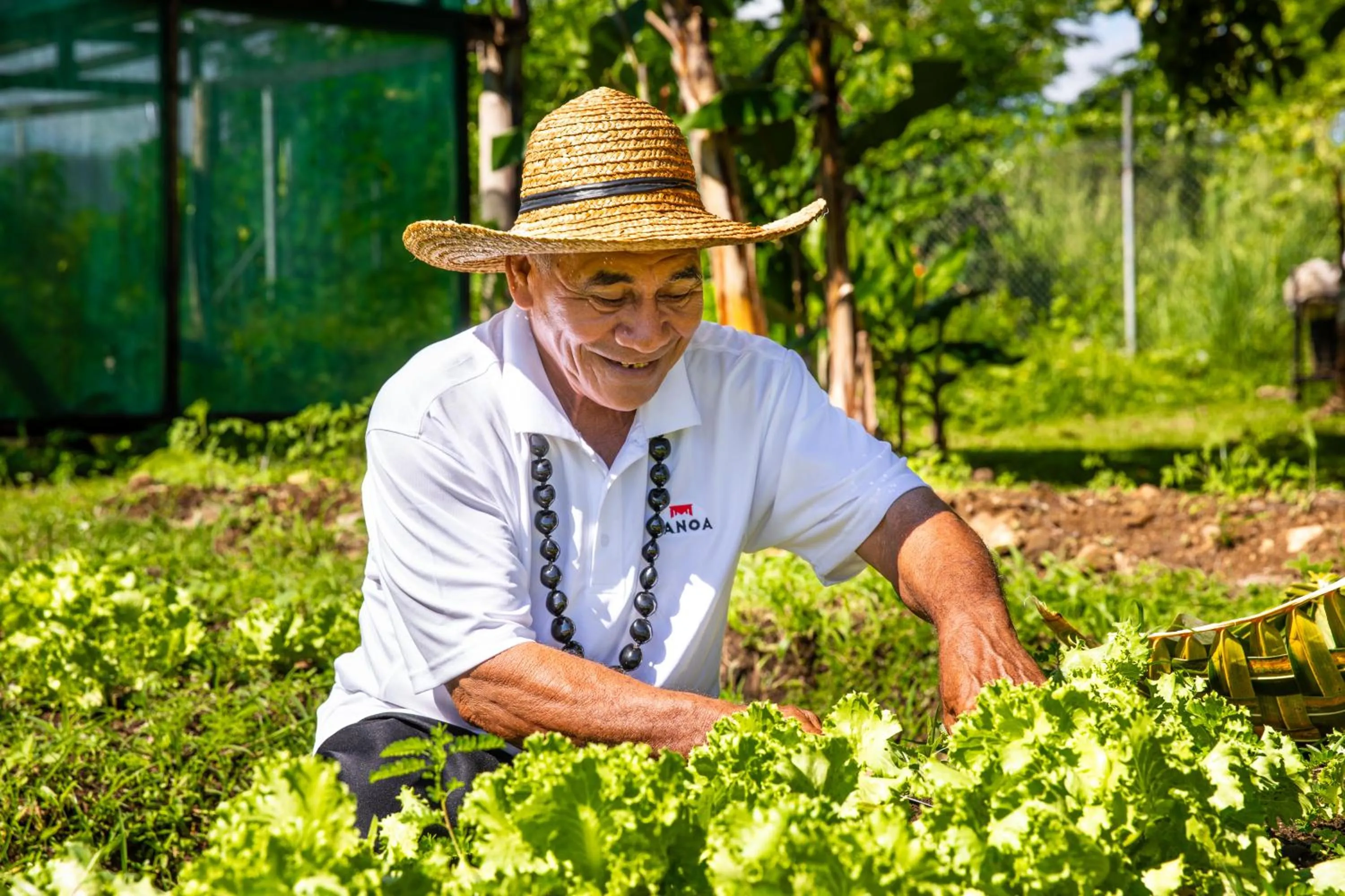Garden in Tanoa Tusitala Hotel
