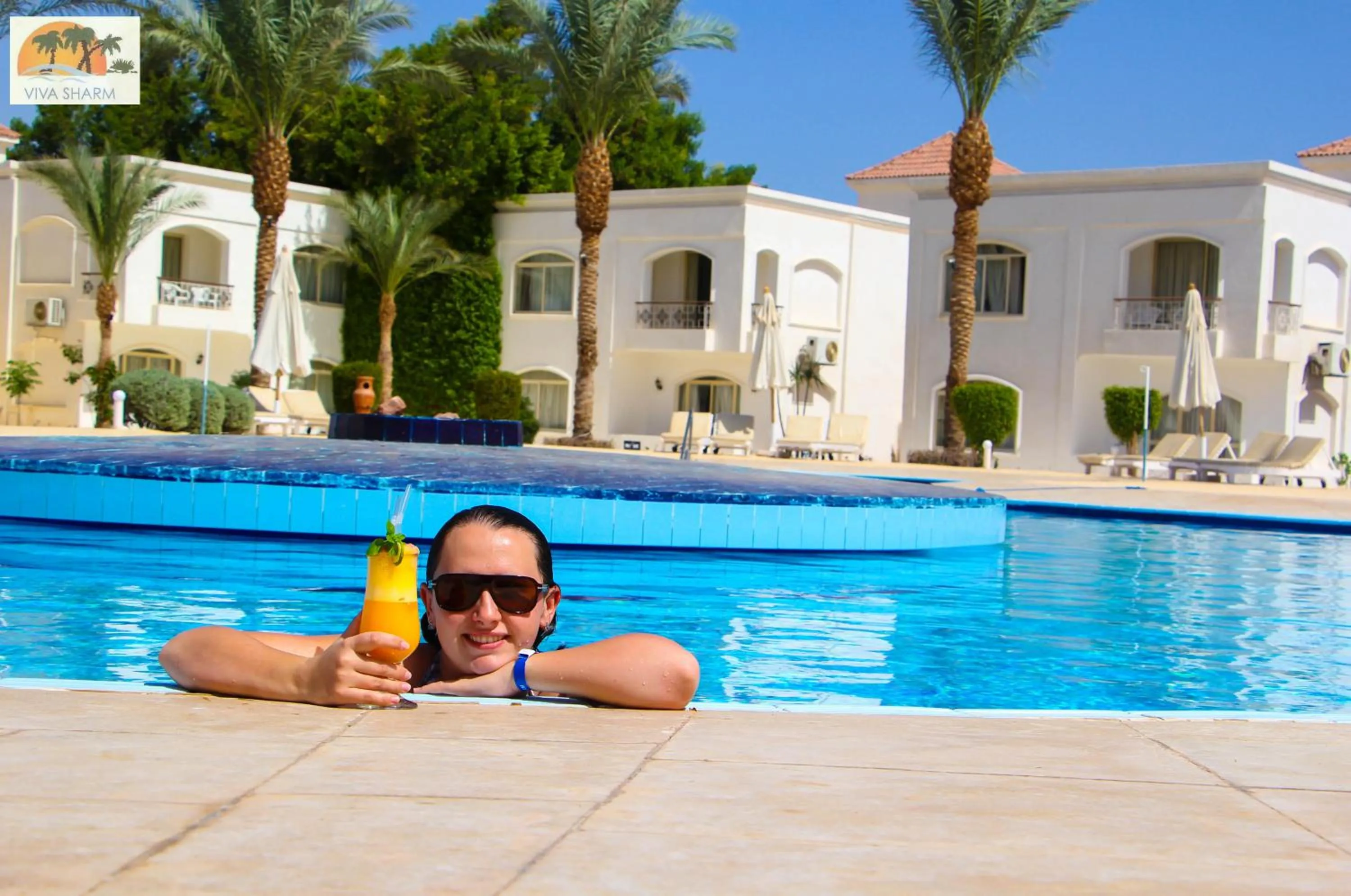 Swimming pool in Viva Sharm