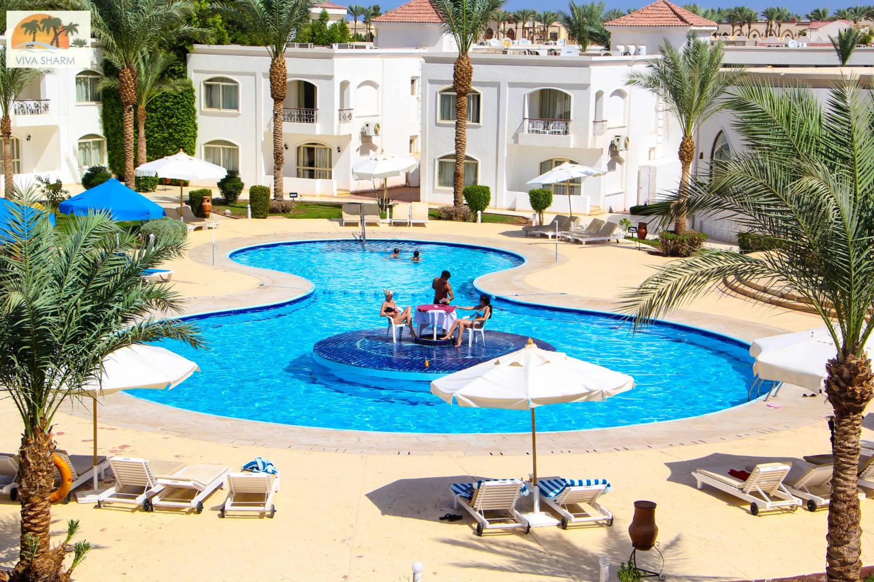 Swimming pool in Viva Sharm