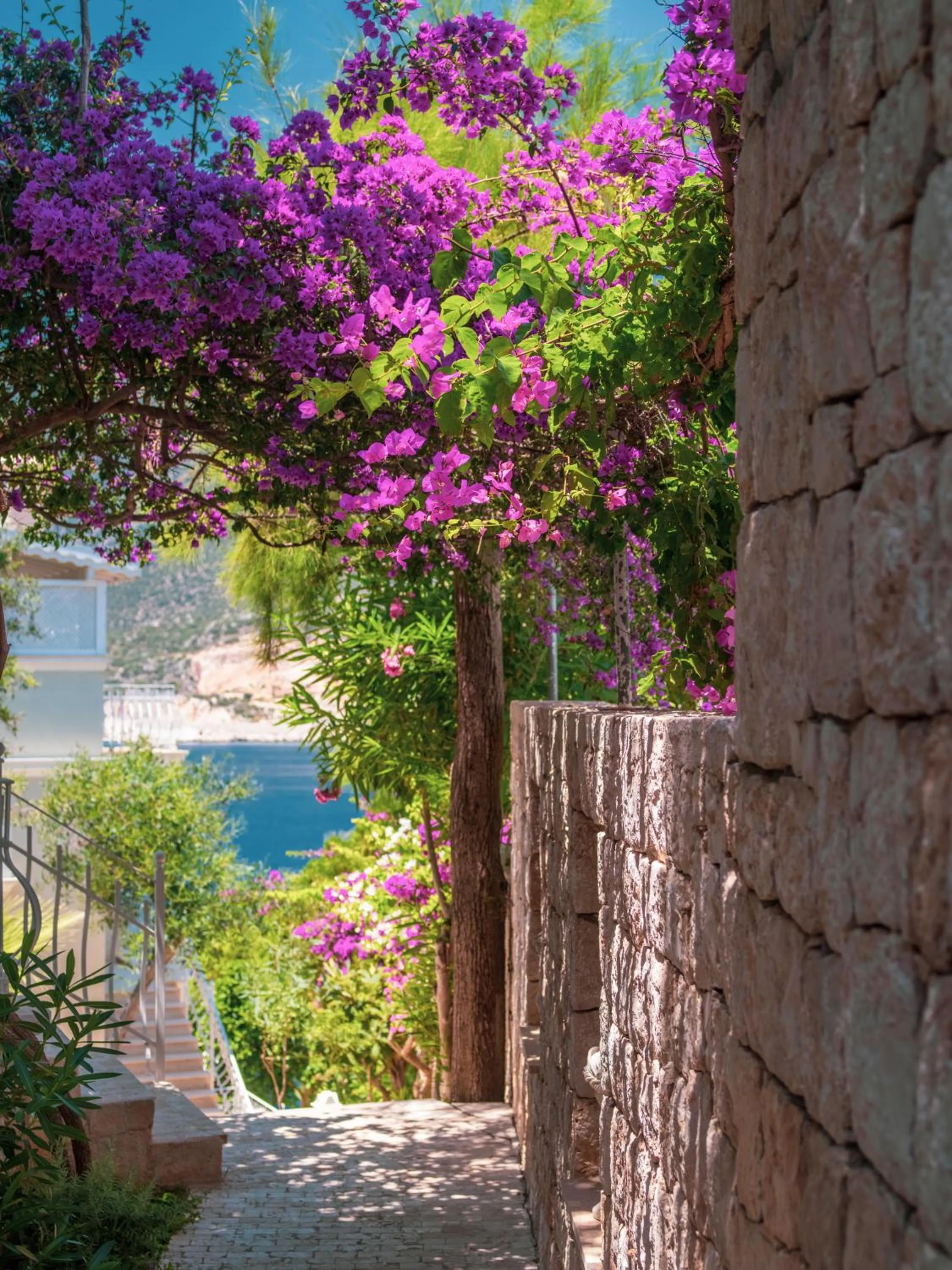 Natural landscape in Lukka Exclusive Hotel – Adult Only +12