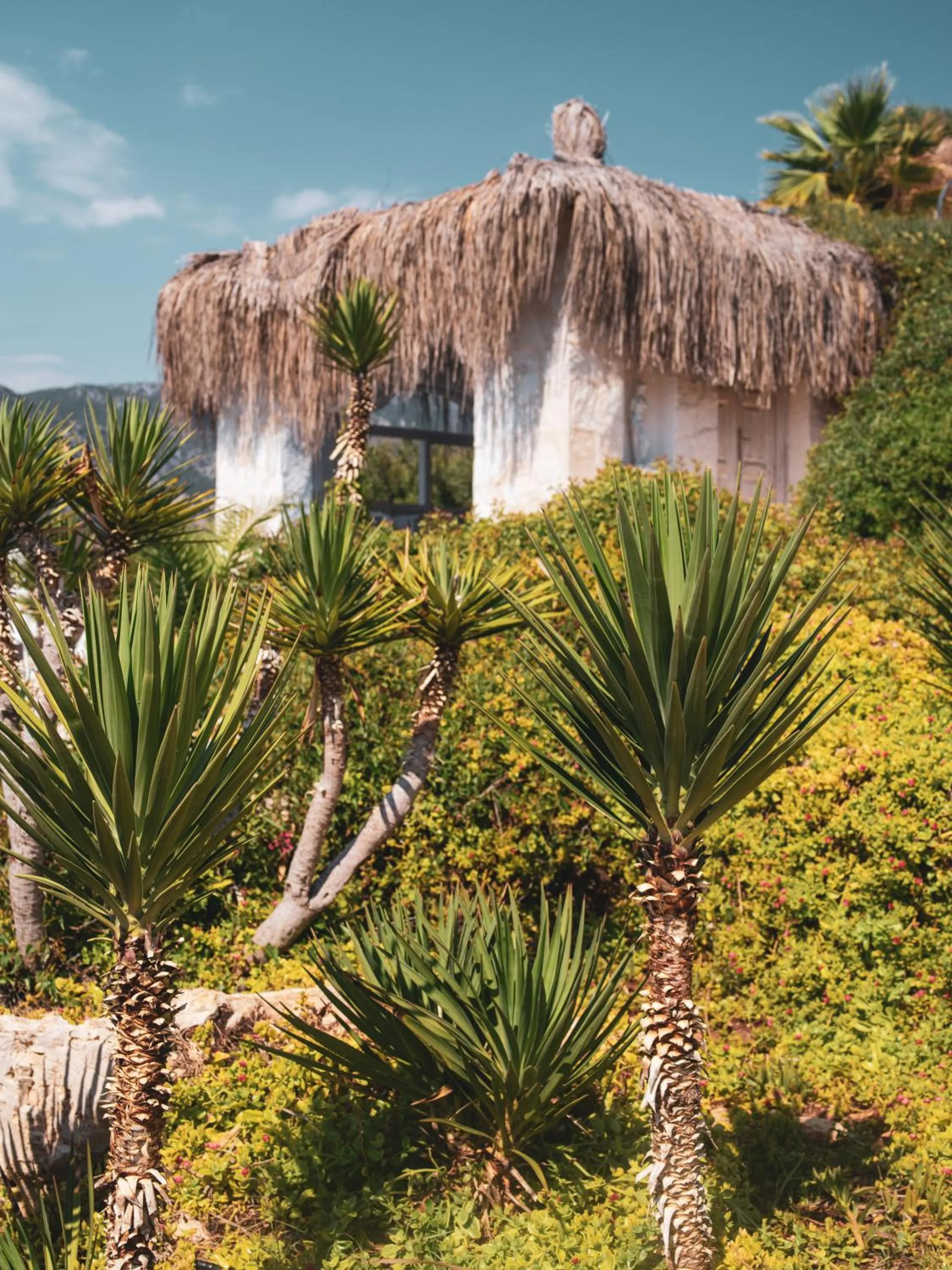 Day in Lukka Exclusive Hotel – Adult Only +12