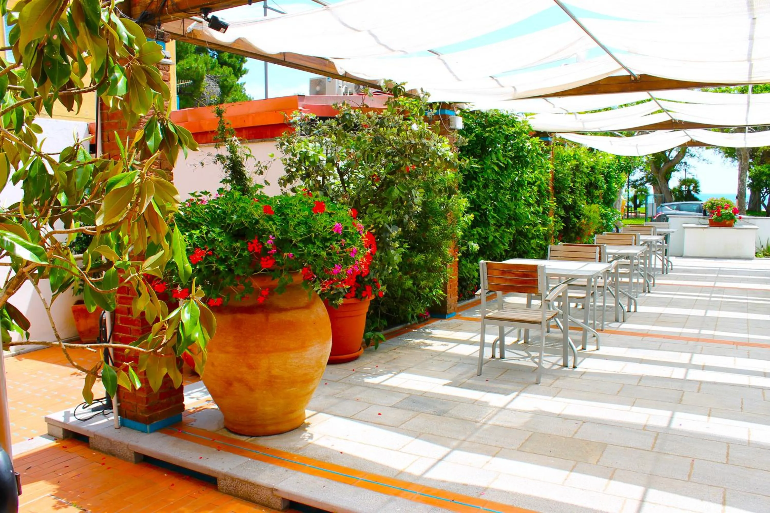 Spring in Hotel Pisacane