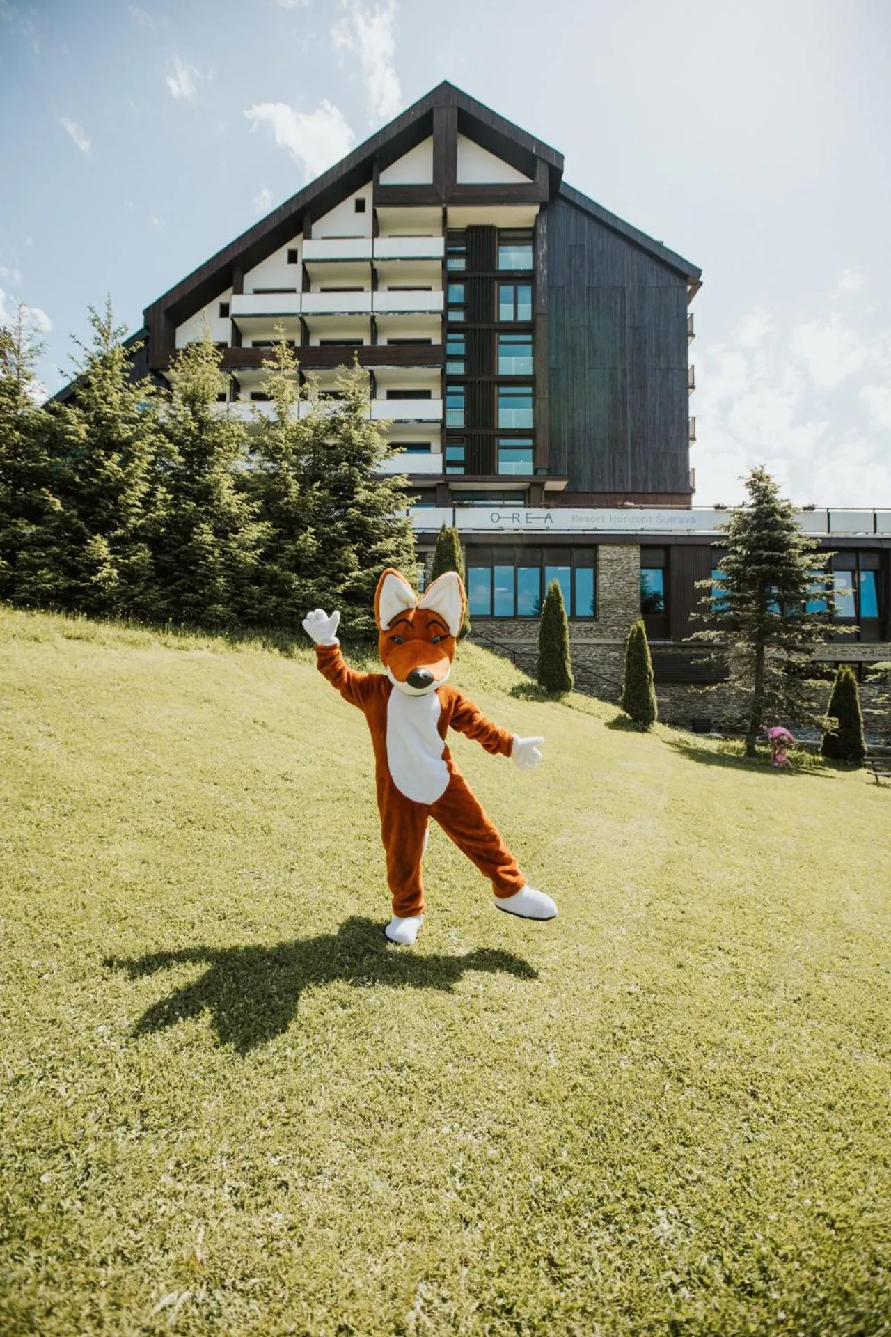 Children play ground in OREA Resort Horizont Šumava