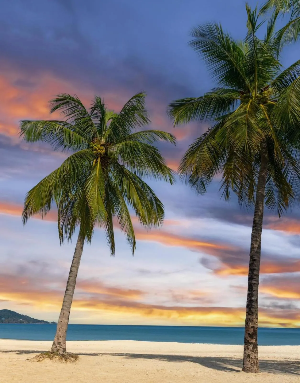 Beach in FunDee Boutique Hotel