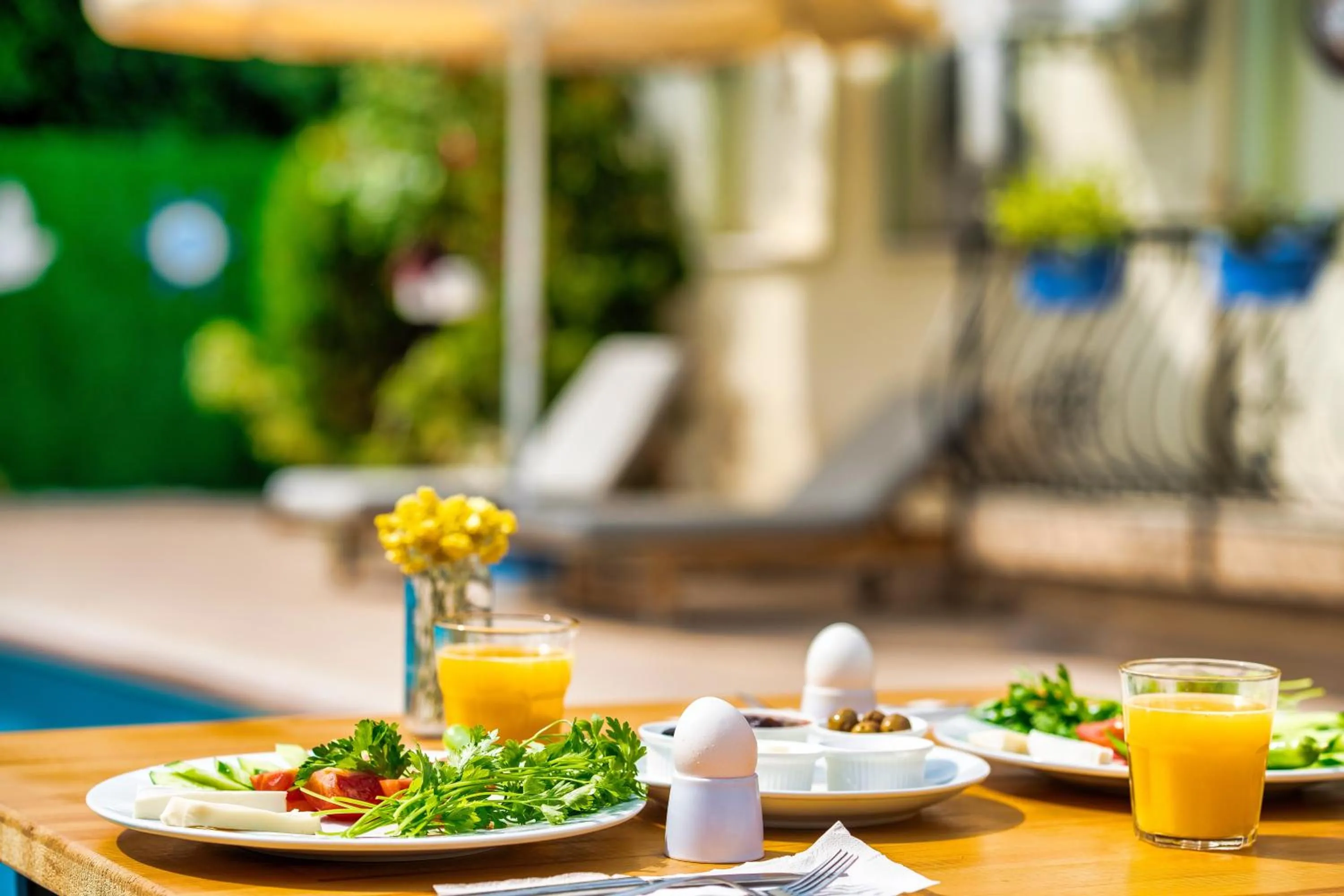 Patio in Dedeminn Garden Hotel