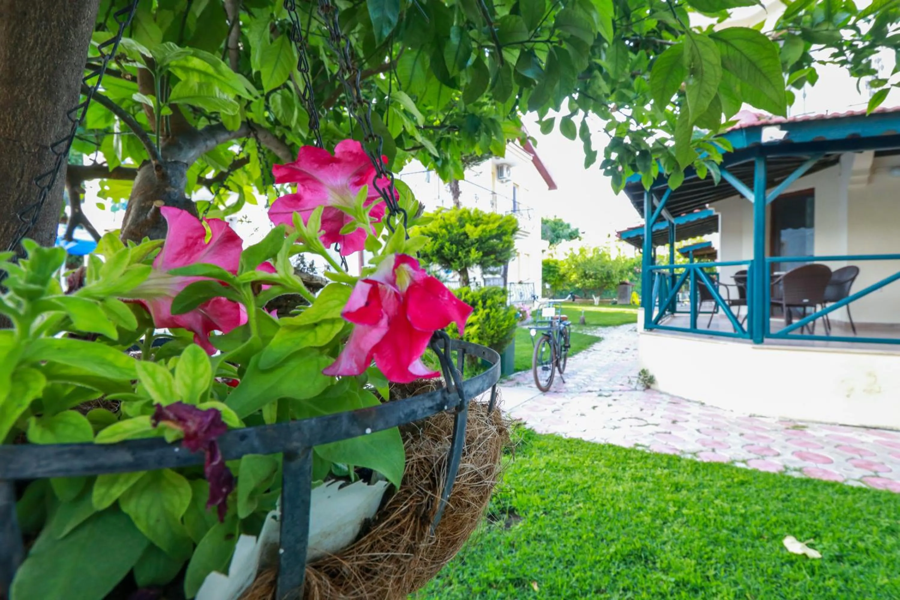 Natural landscape in Dedeminn Garden Hotel