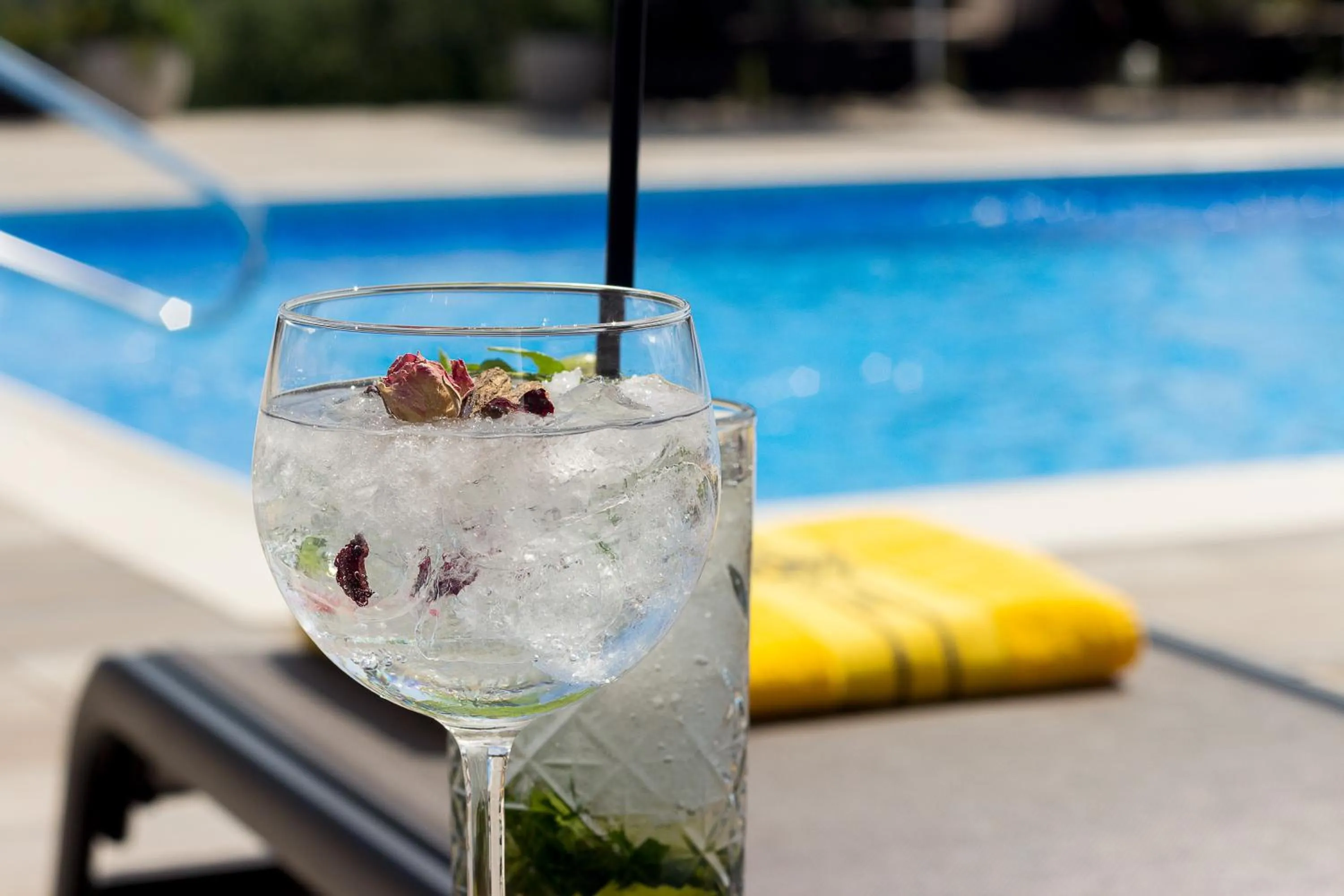 Garden in Hotel Degenija