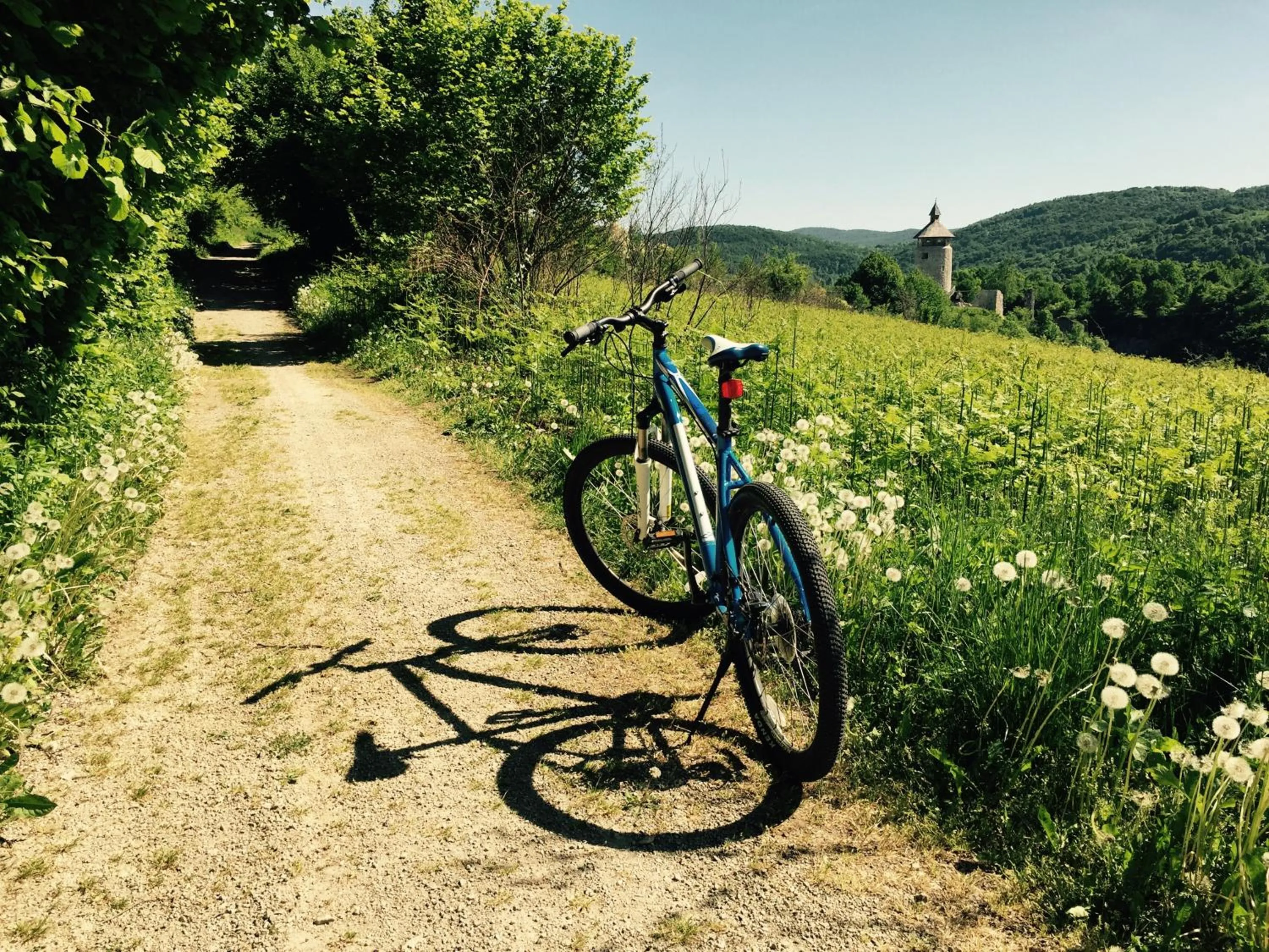 Cycling in Hotel Degenija
