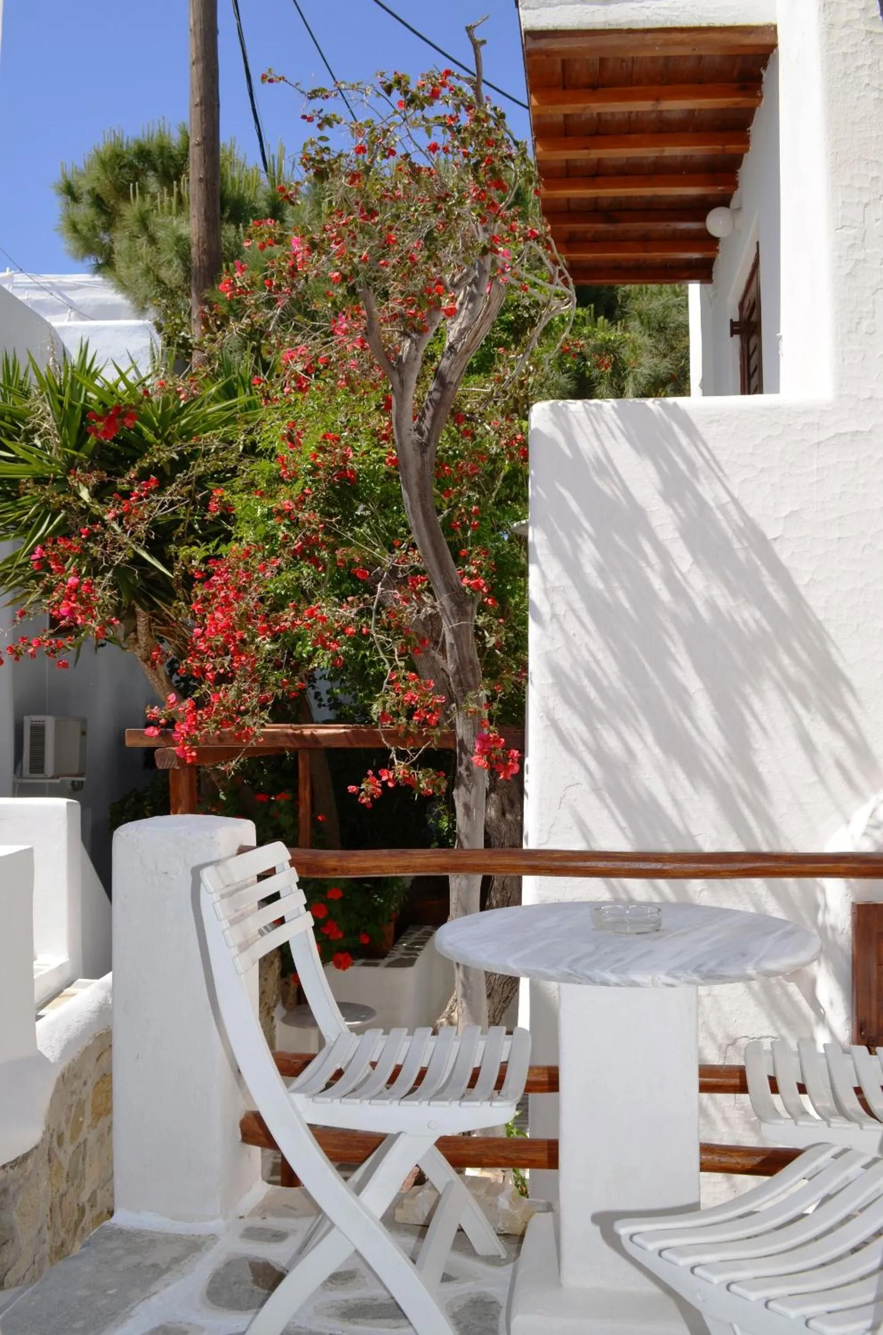 Garden view in Villa Pinelopi