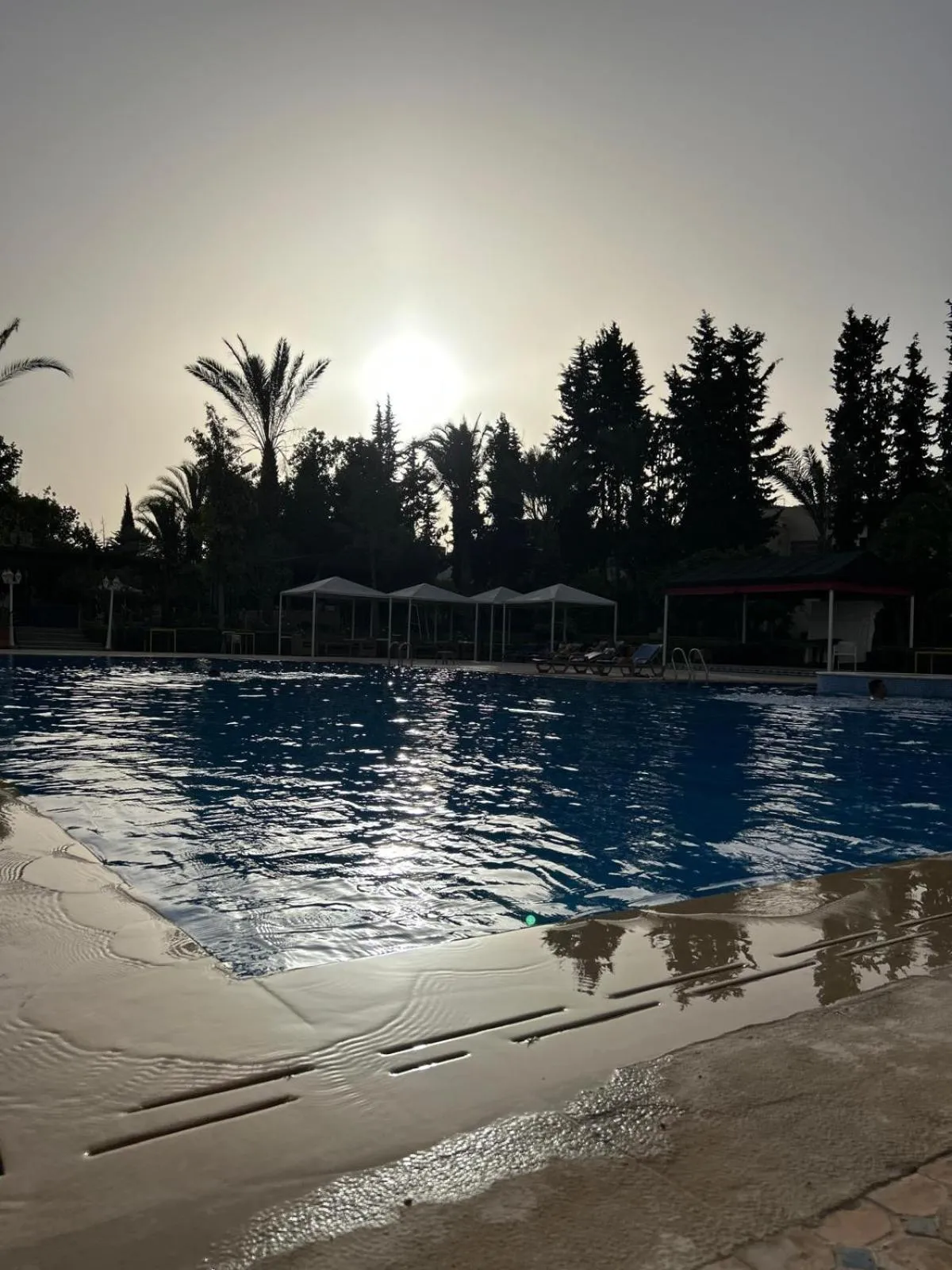 Swimming pool in Zalagh Parc Palace
