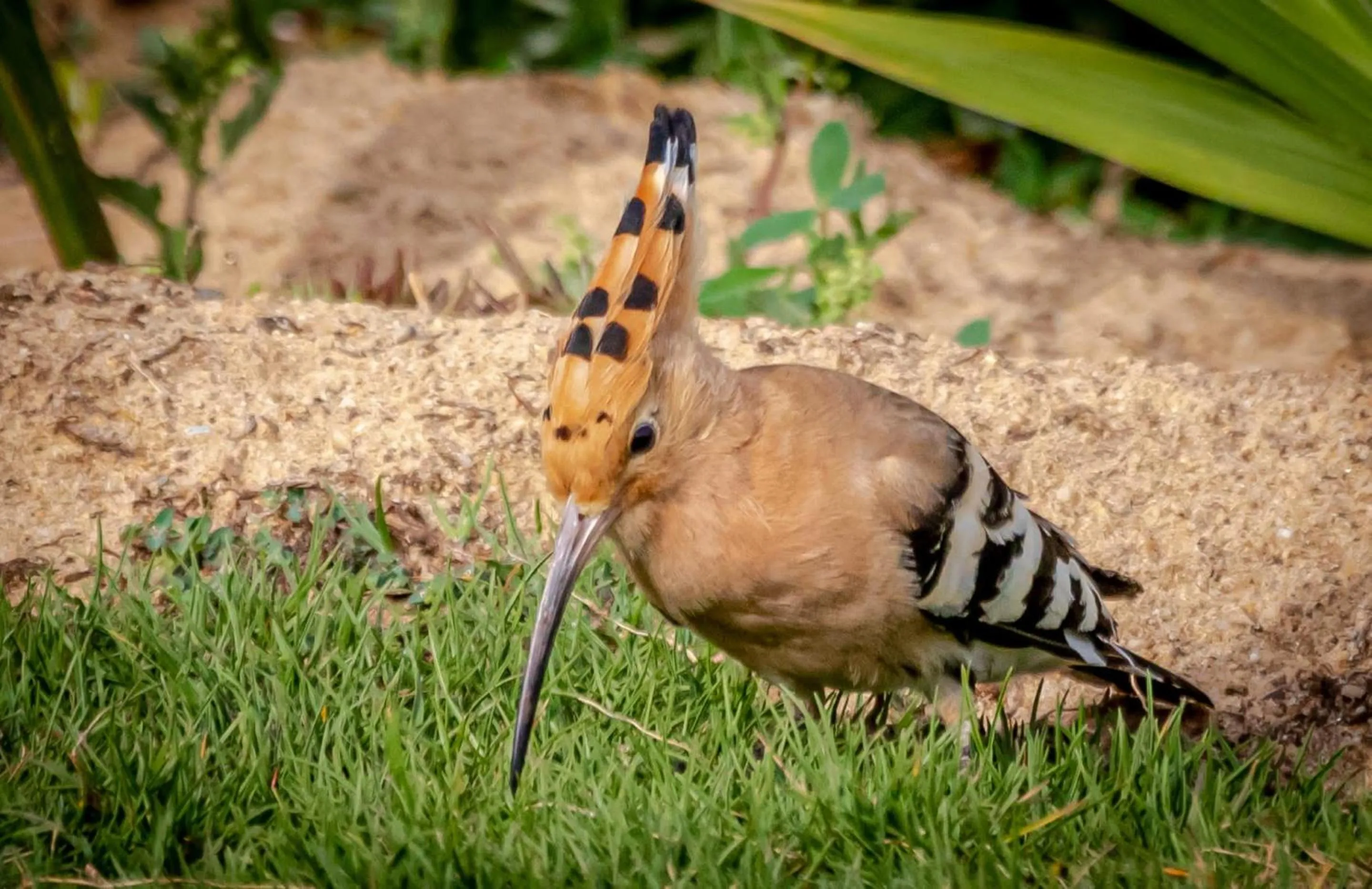 Day in Silver Beach Boutique Hotel