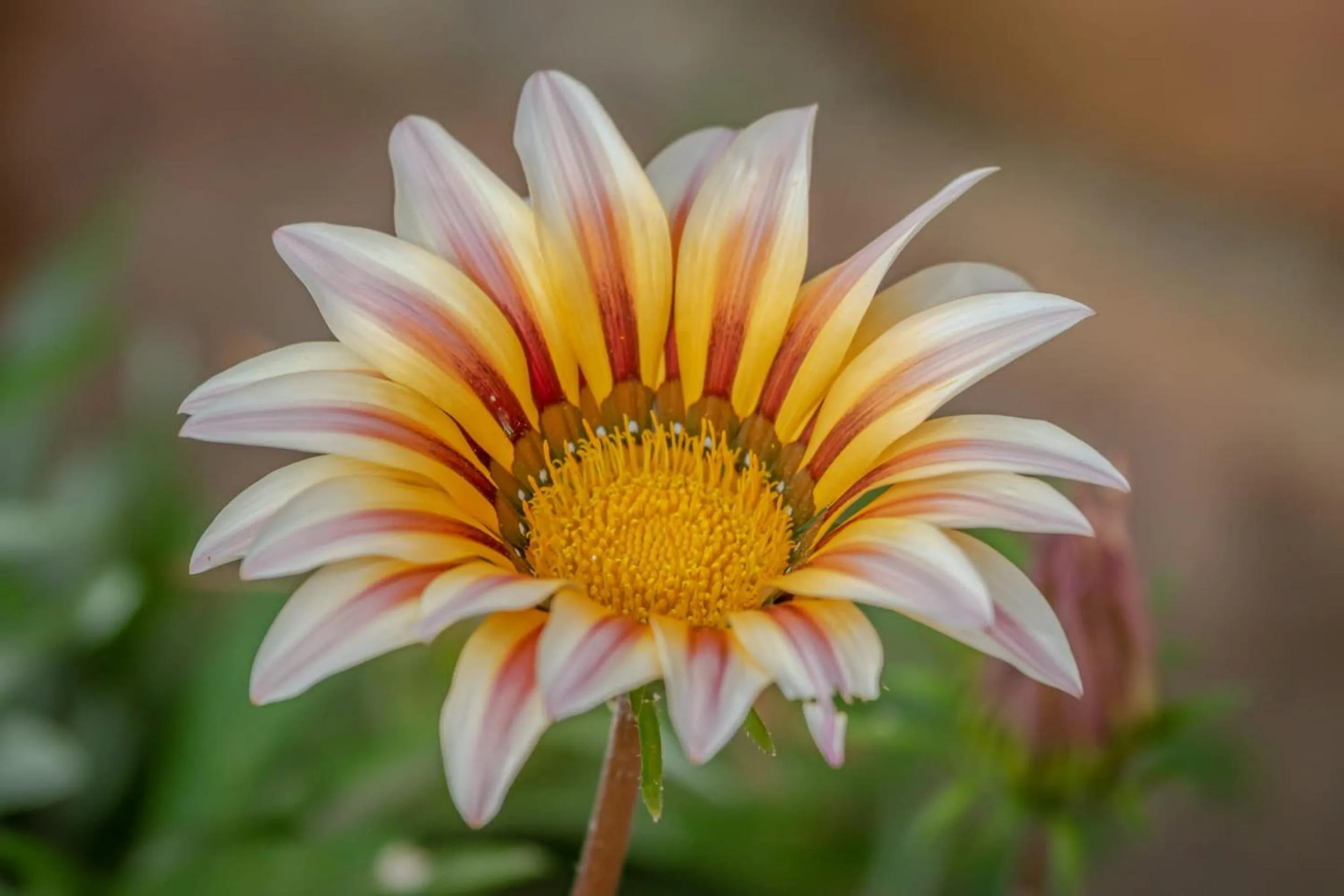 Spring in Silver Beach Boutique Hotel