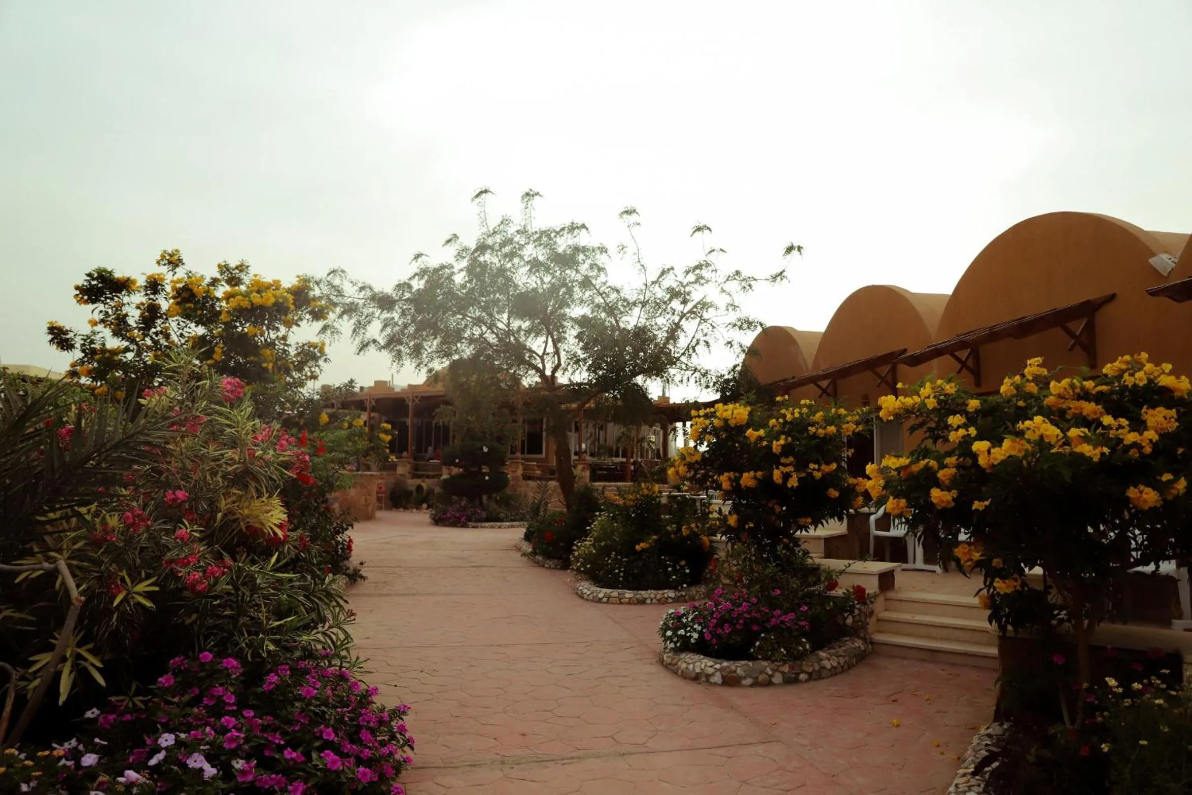 Garden in Silver Beach Boutique Hotel