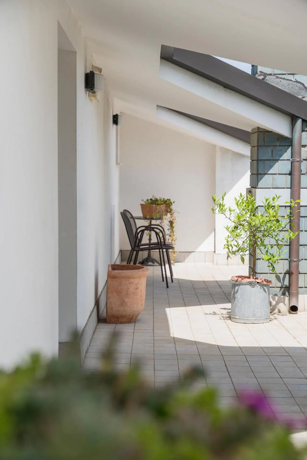 Garden in Hotel Roxy & Beach